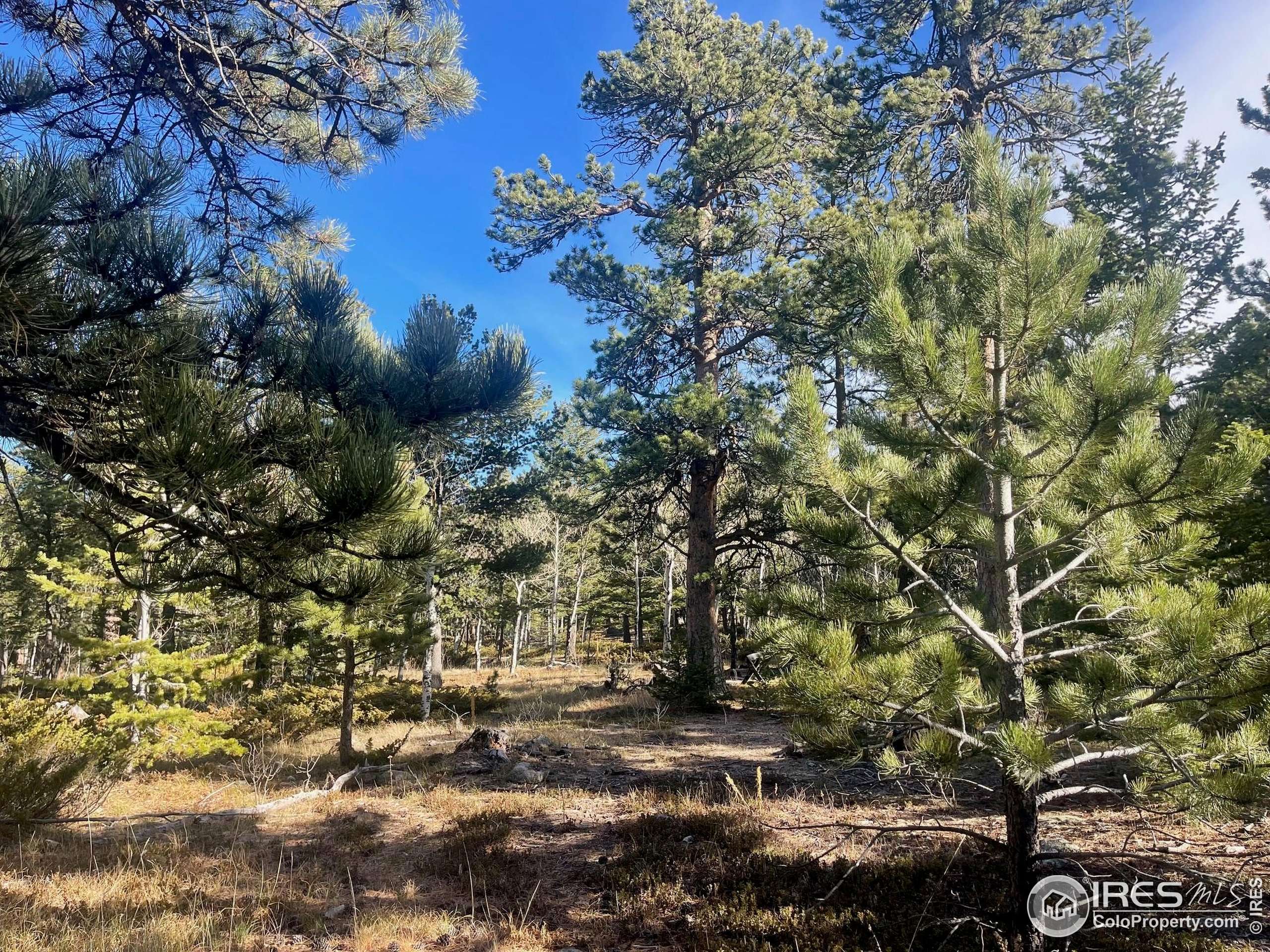 Allenspark, CO 80510,399 N Skinner Rd