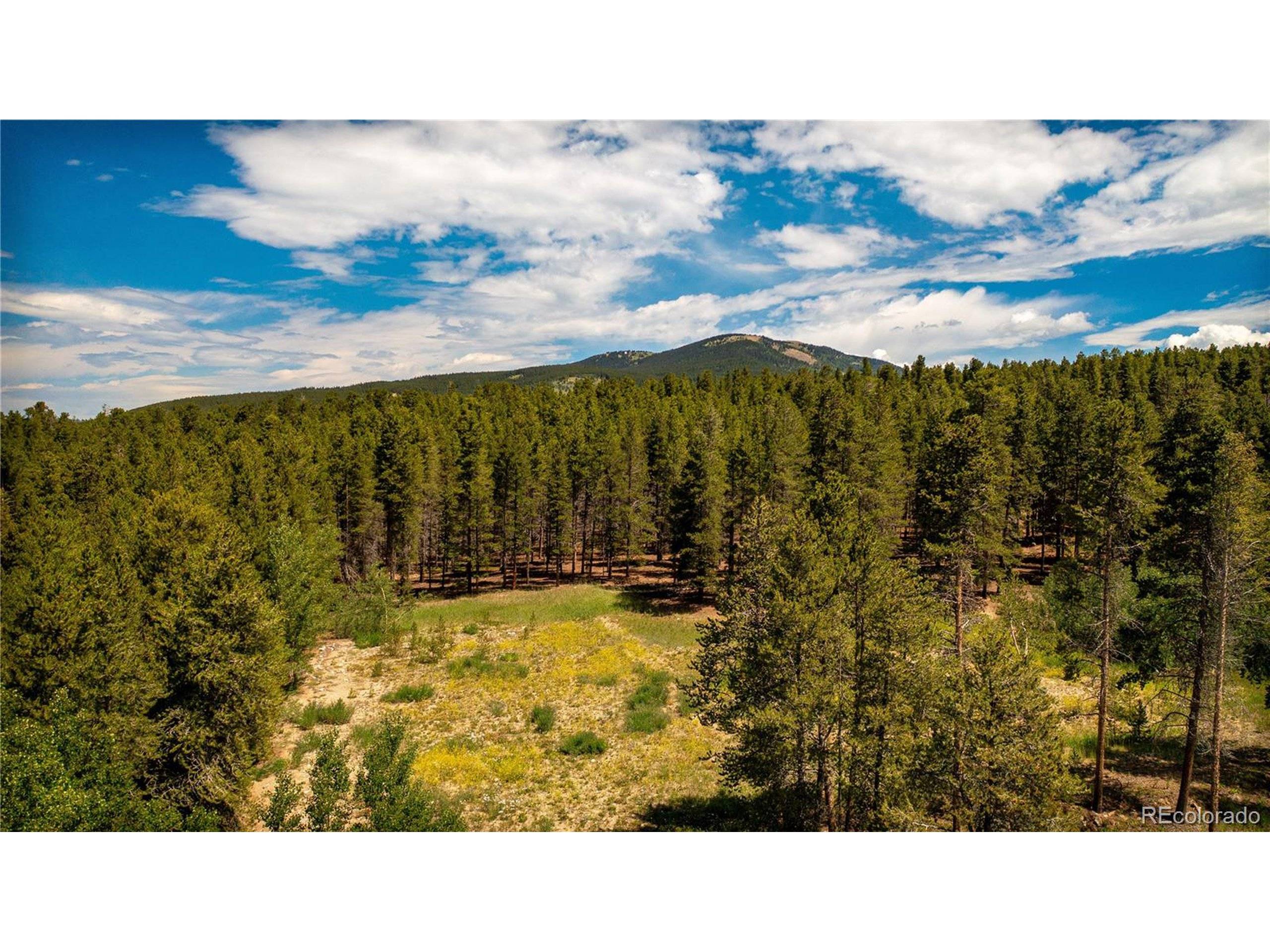 Leadville, CO 80461,609 Mountain View Dr