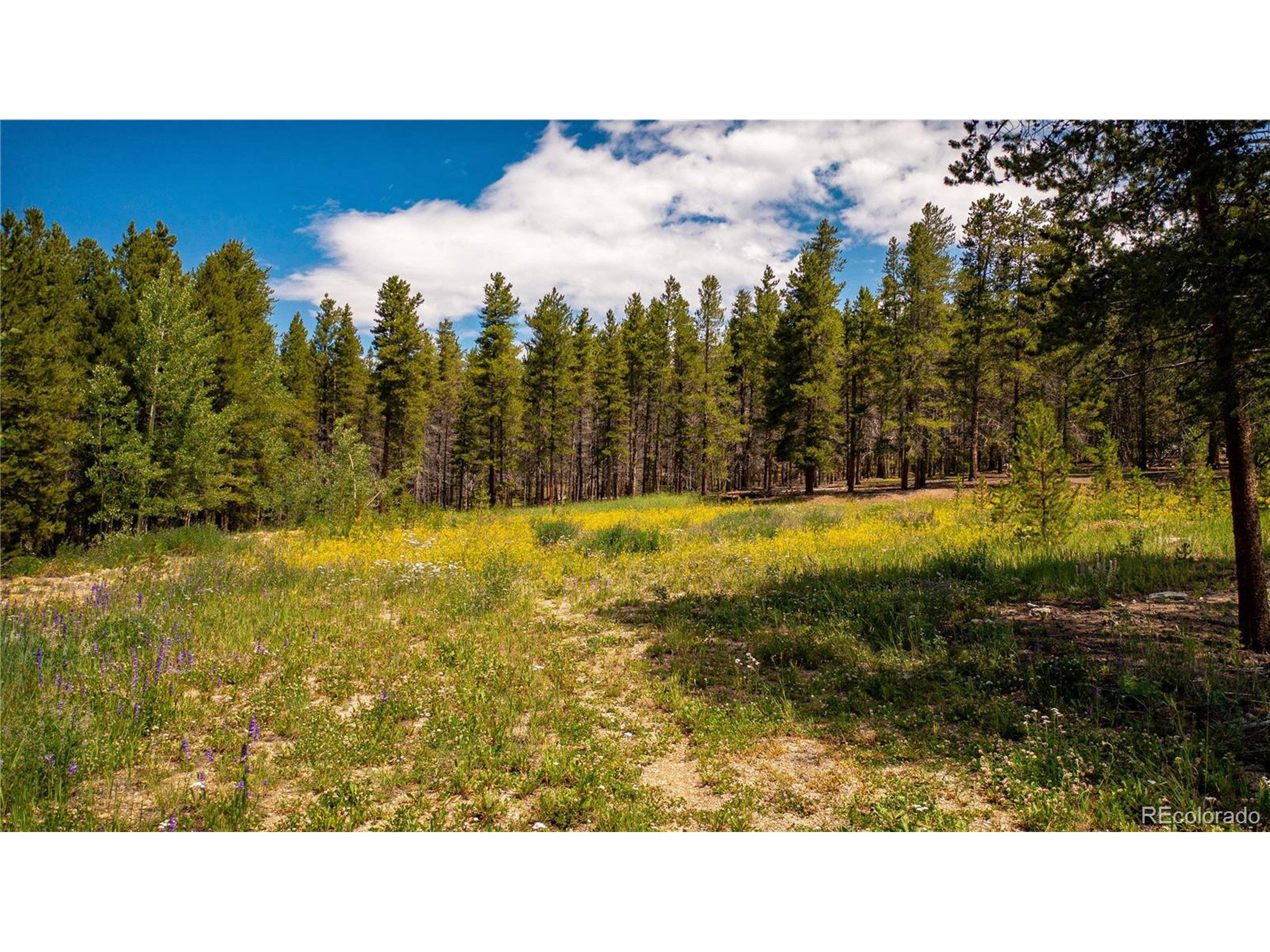 Leadville, CO 80461,609 Mountain View Dr