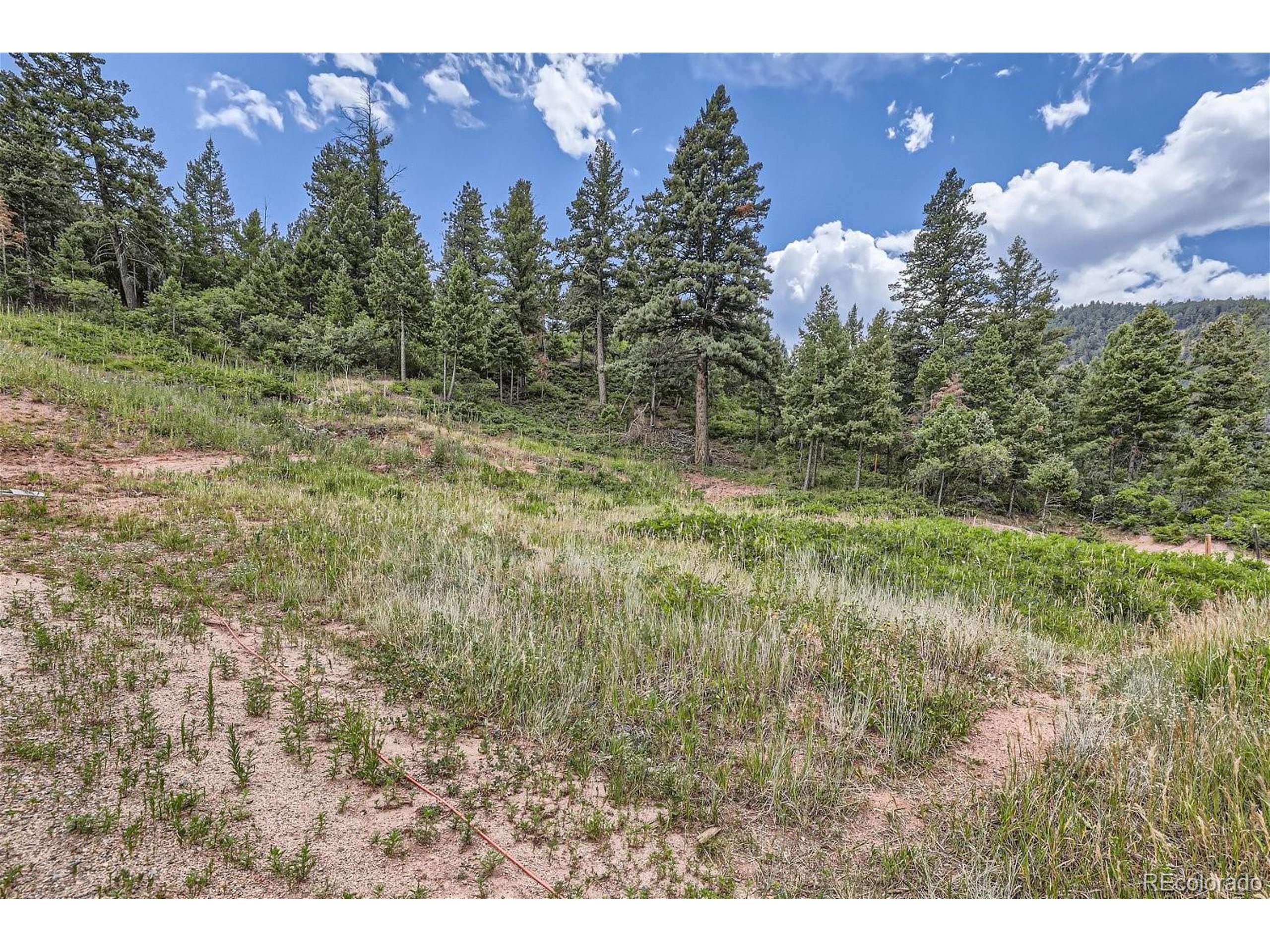 Larkspur, CO 80118,7100 Fox Cir