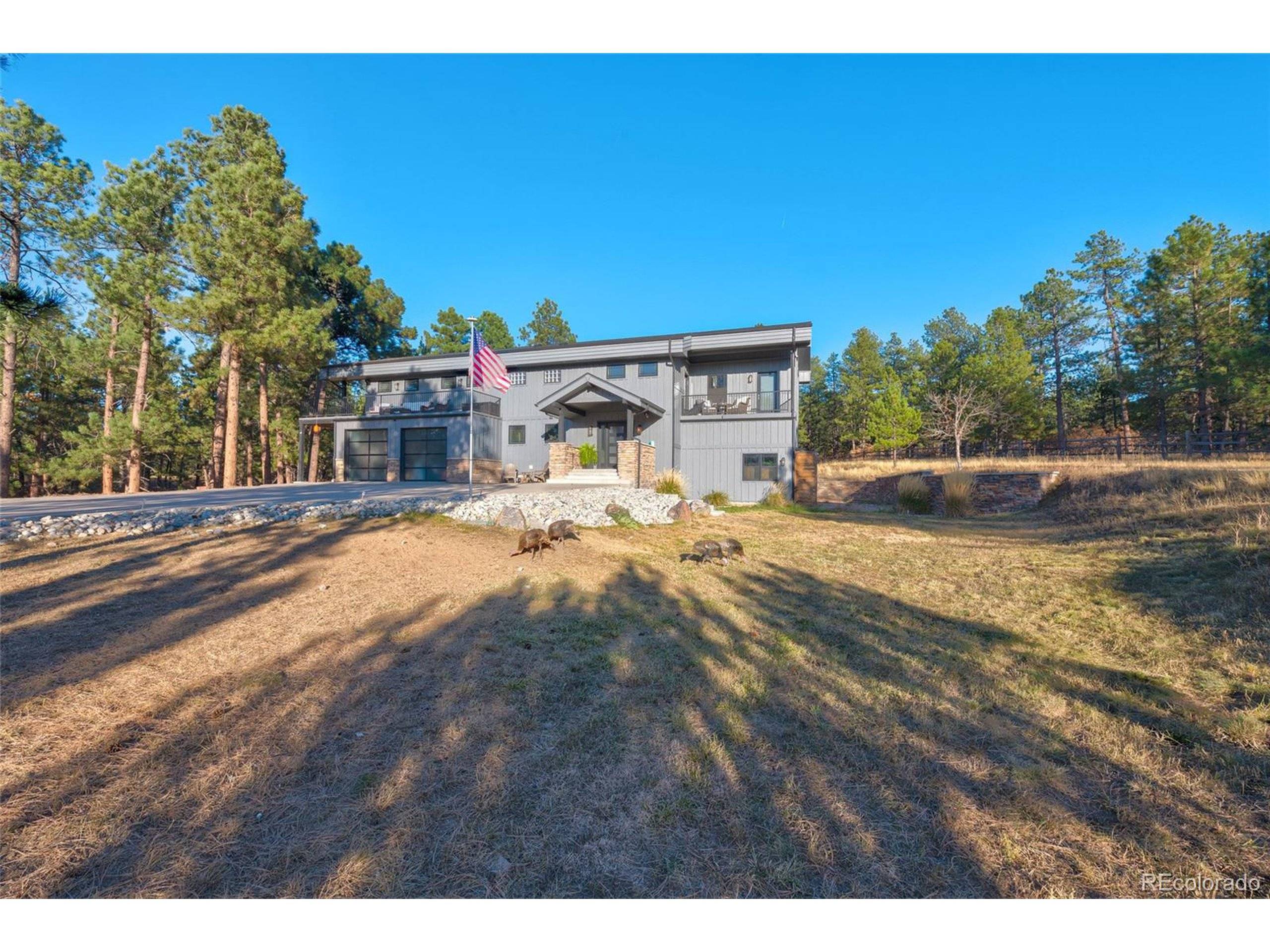 Franktown, CO 80116,1580 Crystal Way