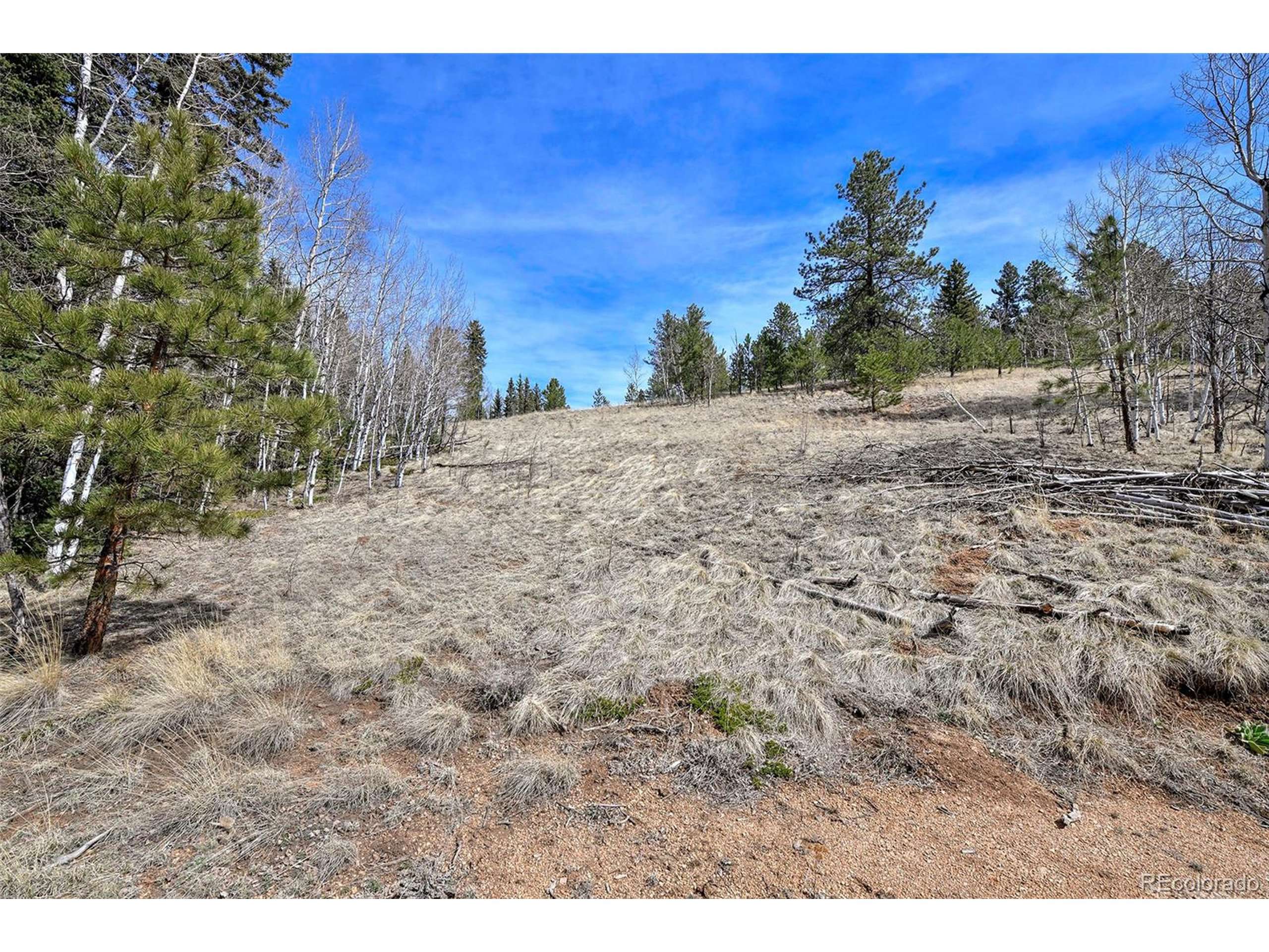 Divide, CO 80814,926 W Bison Creek Trl