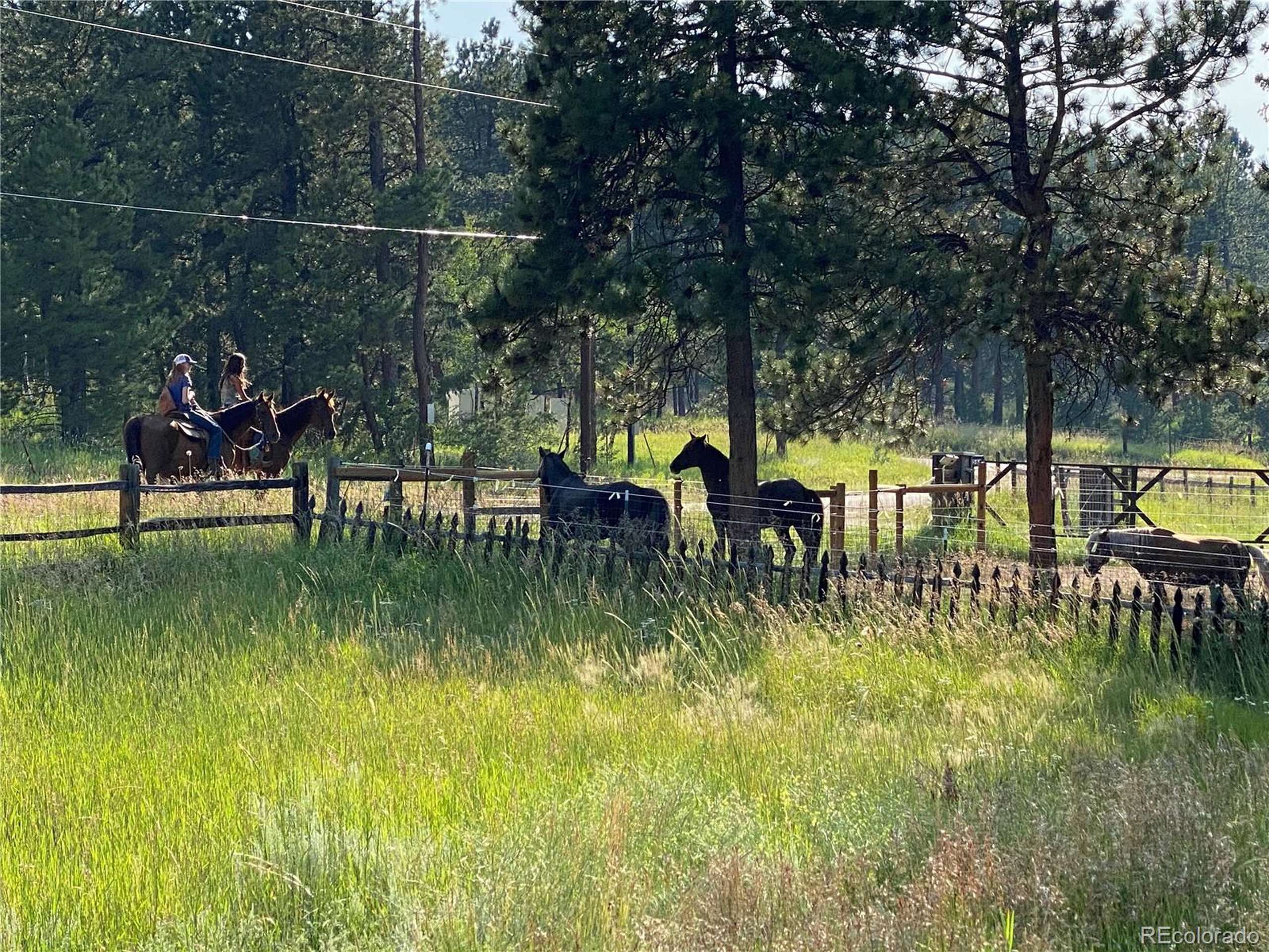 Pine, CO 80470,2635 Nova Rd