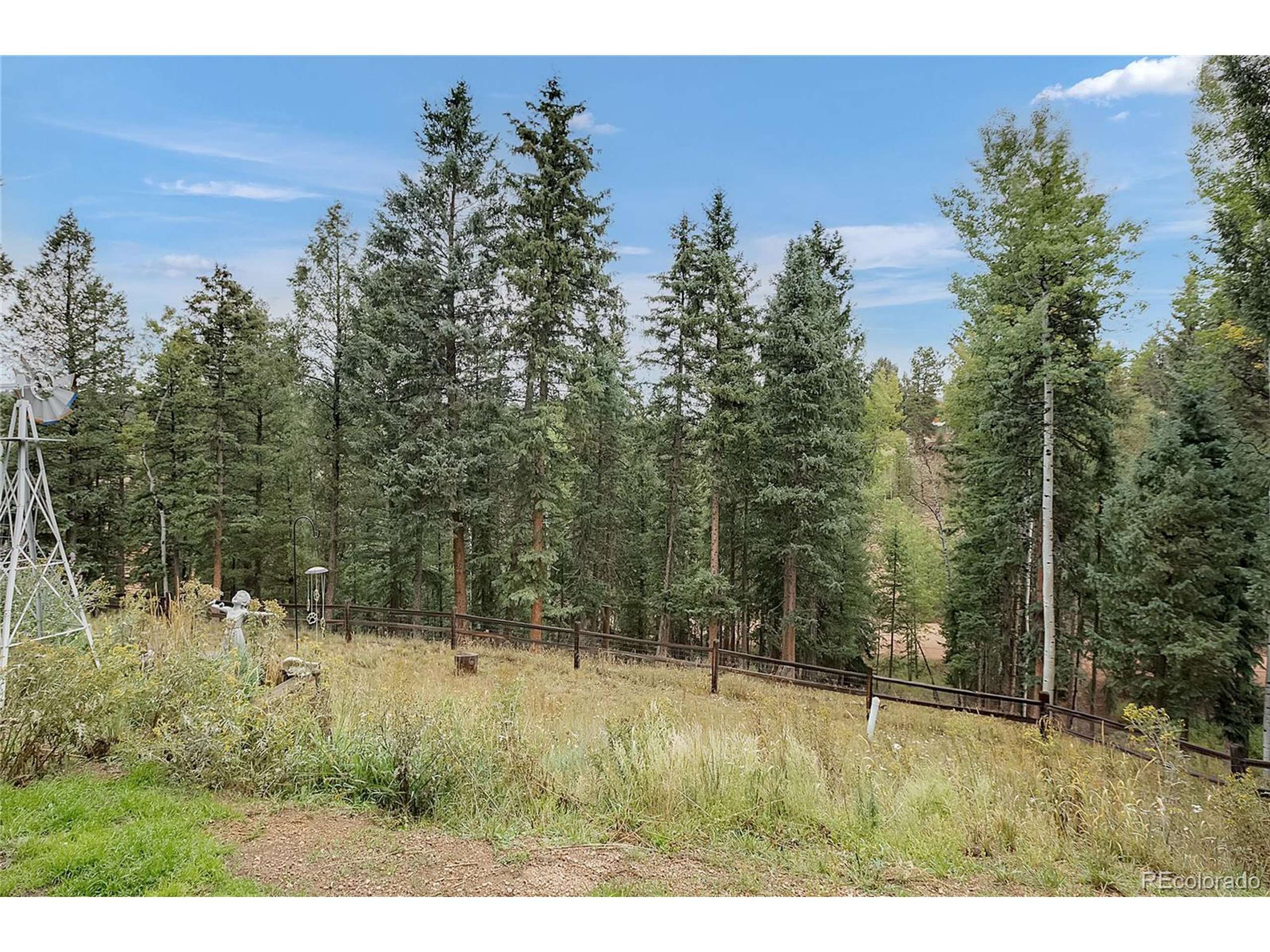 Divide, CO 80814,958 Cottonwood Lake Dr