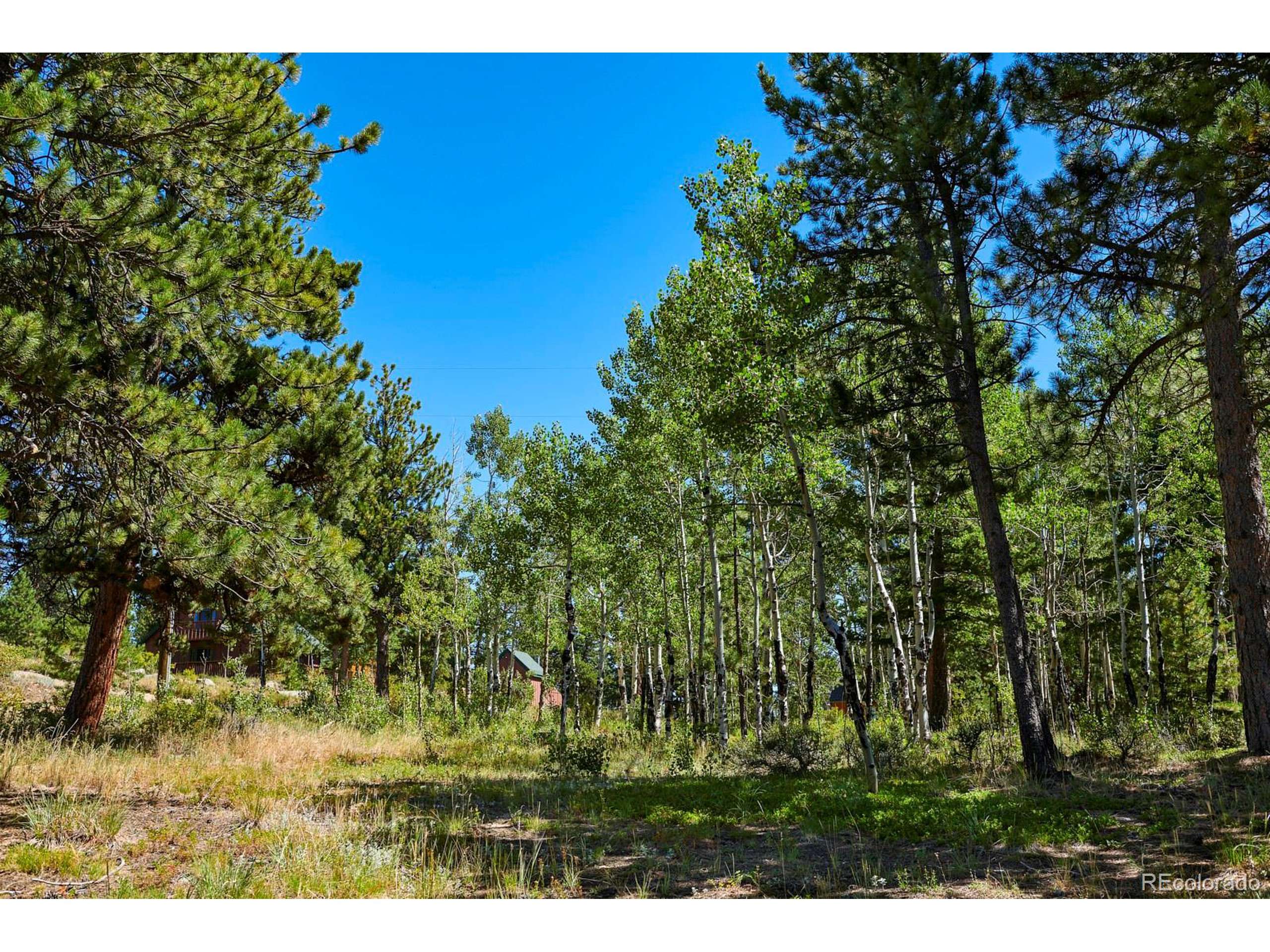 Nederland, CO 80466,182 Rocky Knob Ln