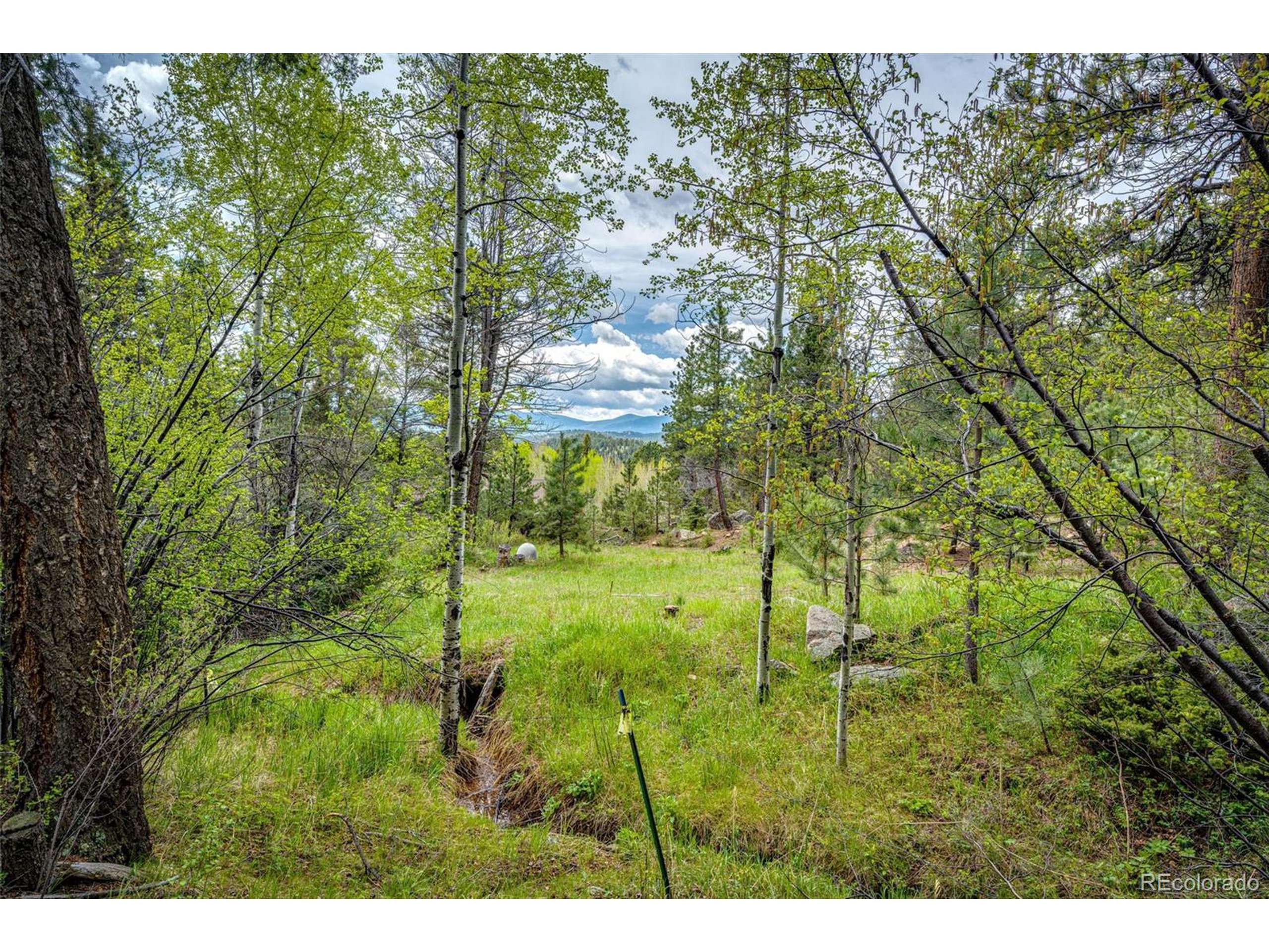 Conifer, CO 80433,12346 Bear Haven Rd