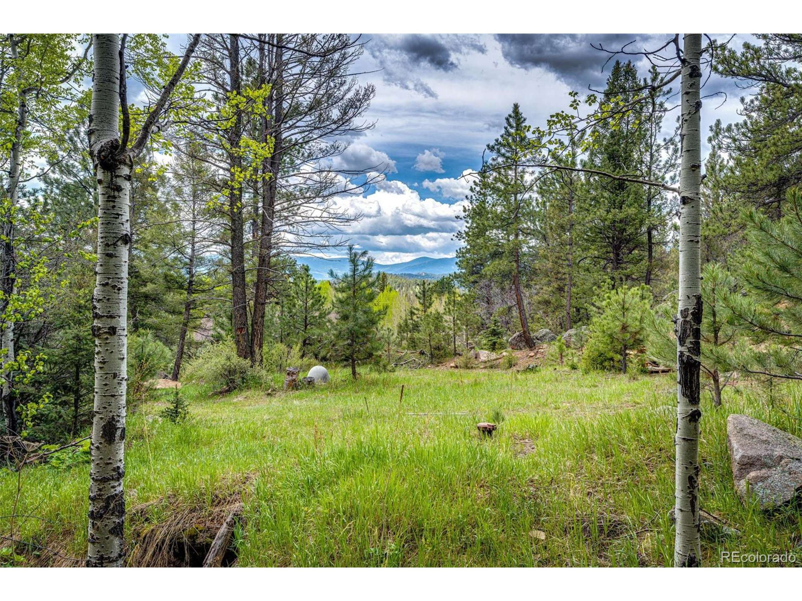 Conifer, CO 80433,12346 Bear Haven Rd