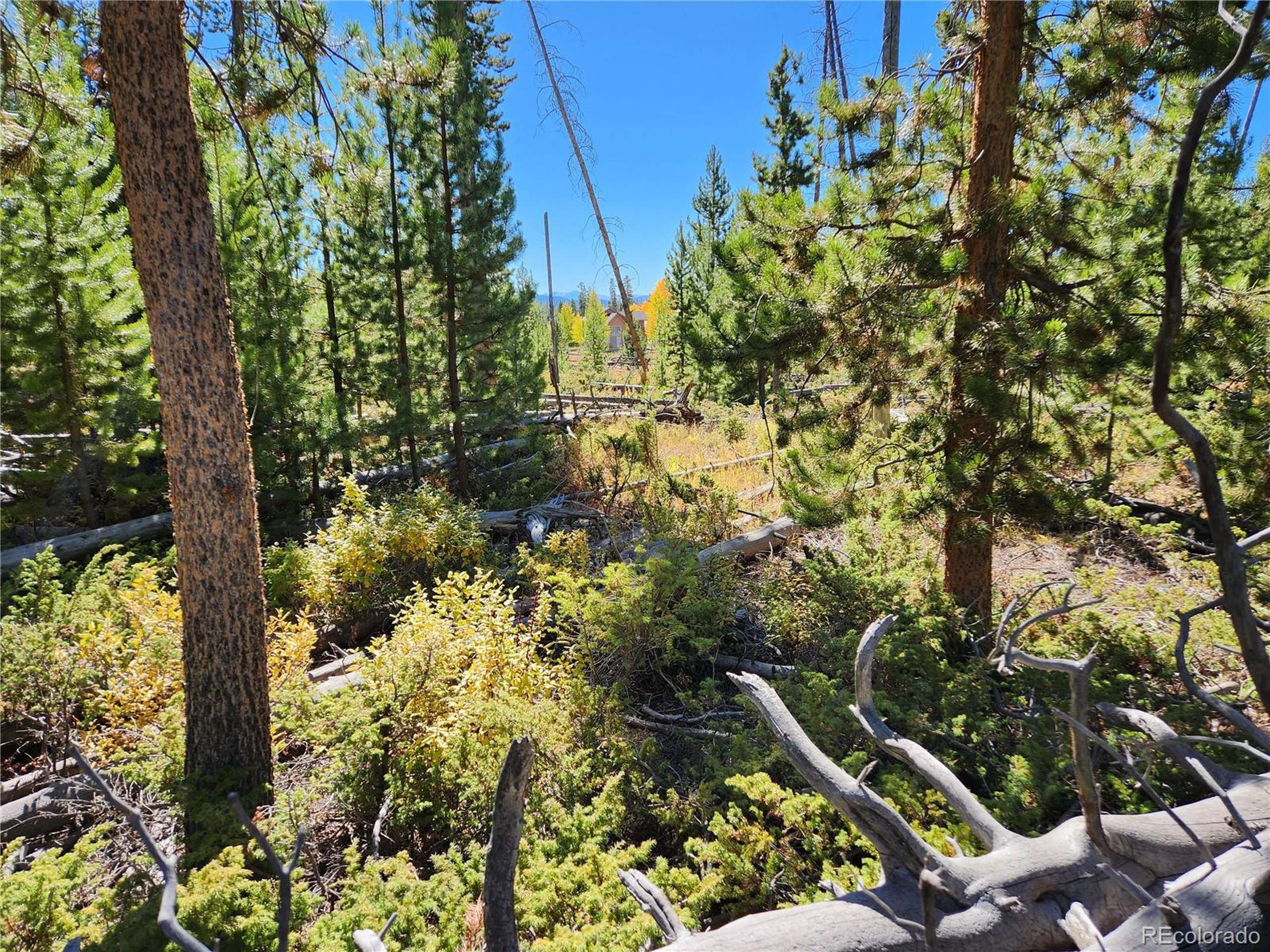 Grand Lake, CO 80447,37 Cr-4628