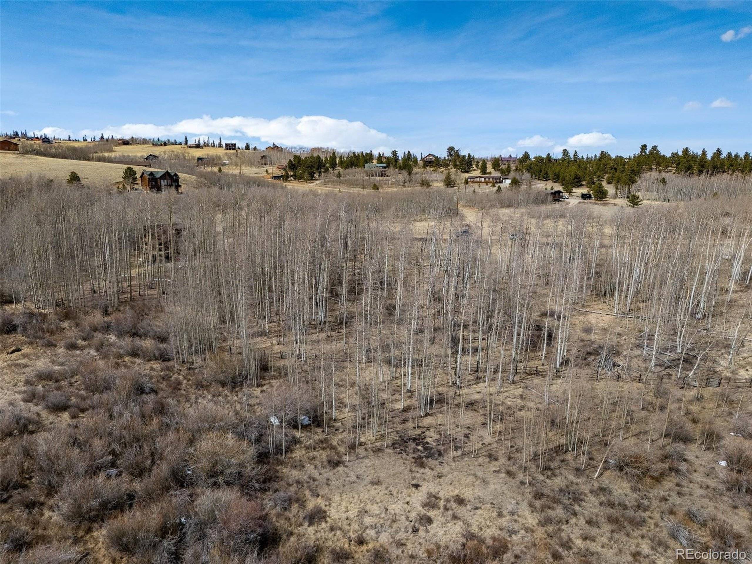 Fairplay, CO 80440,1555 Sheep Ridge Rd