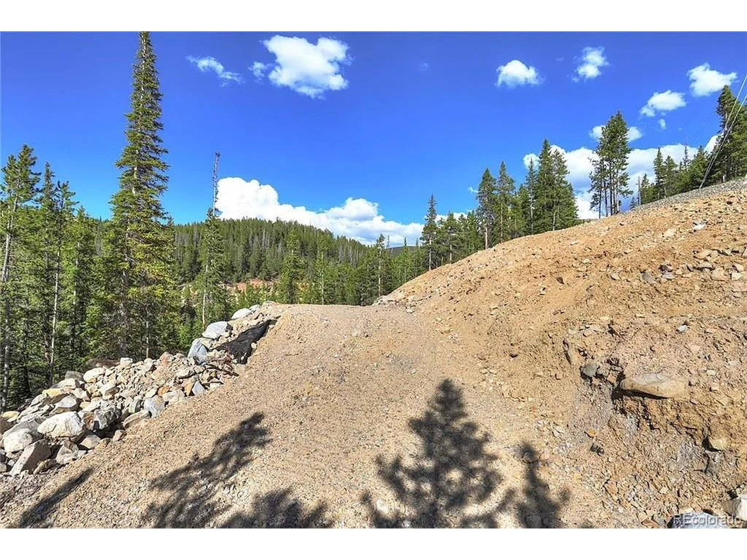 Breckenridge, CO 80424,103 CR 529