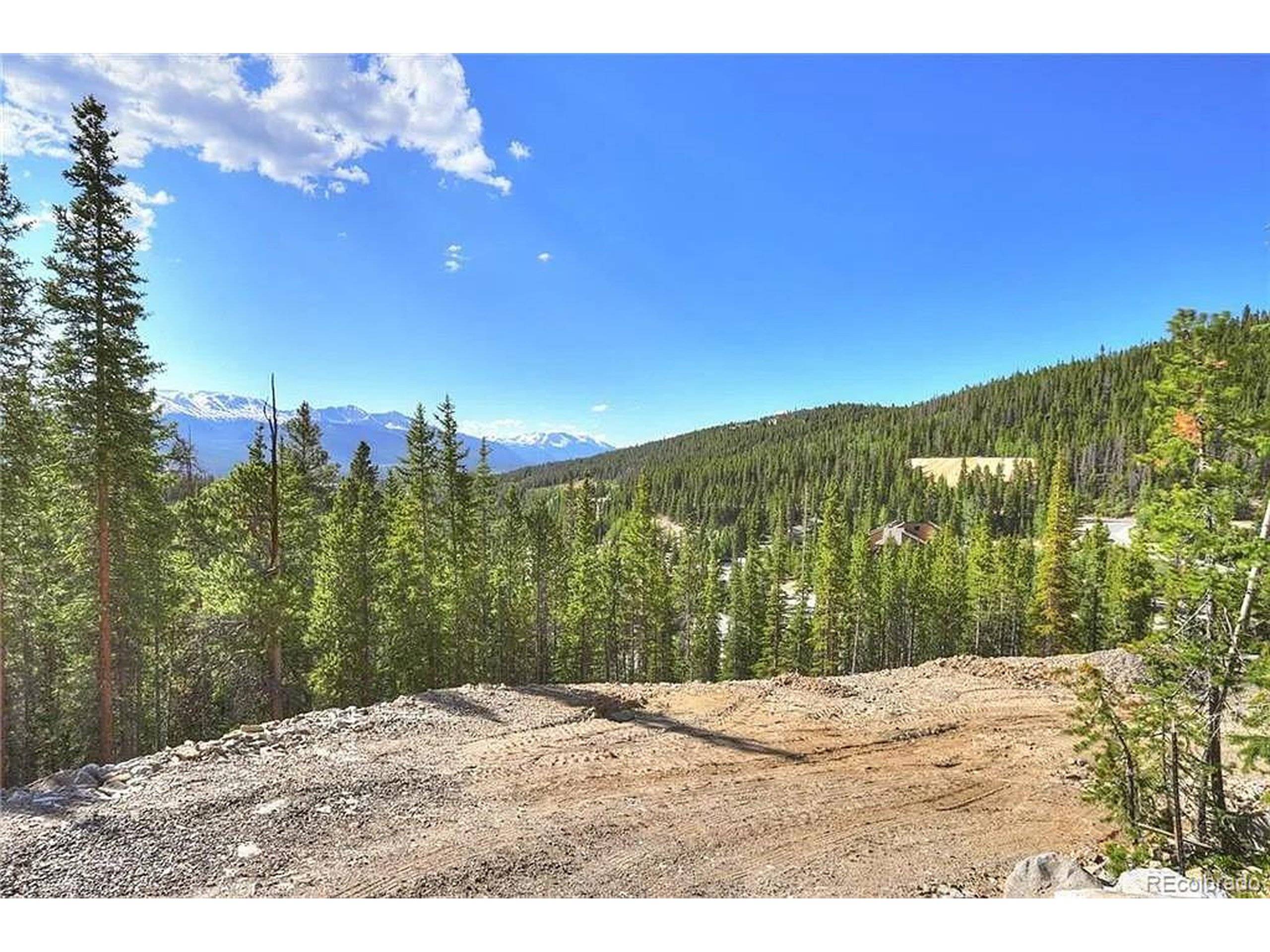 Breckenridge, CO 80424,103 CR 529