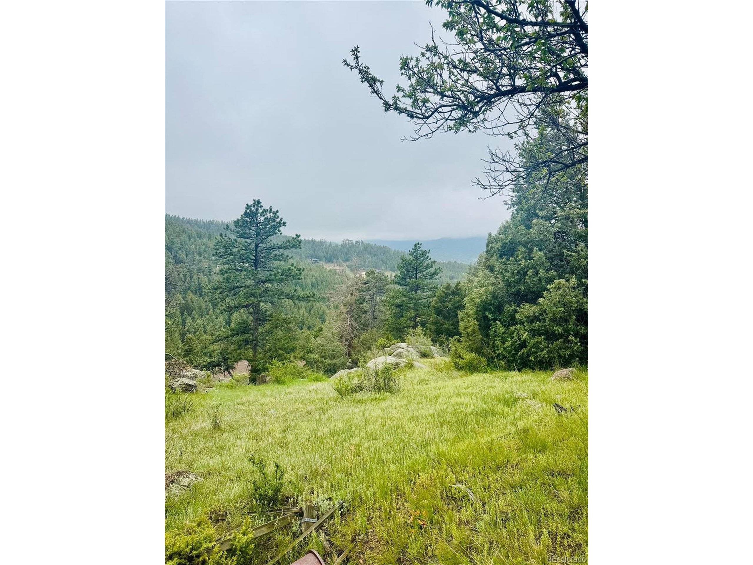 Evergreen, CO 80437,1234 Wild Flower Trl