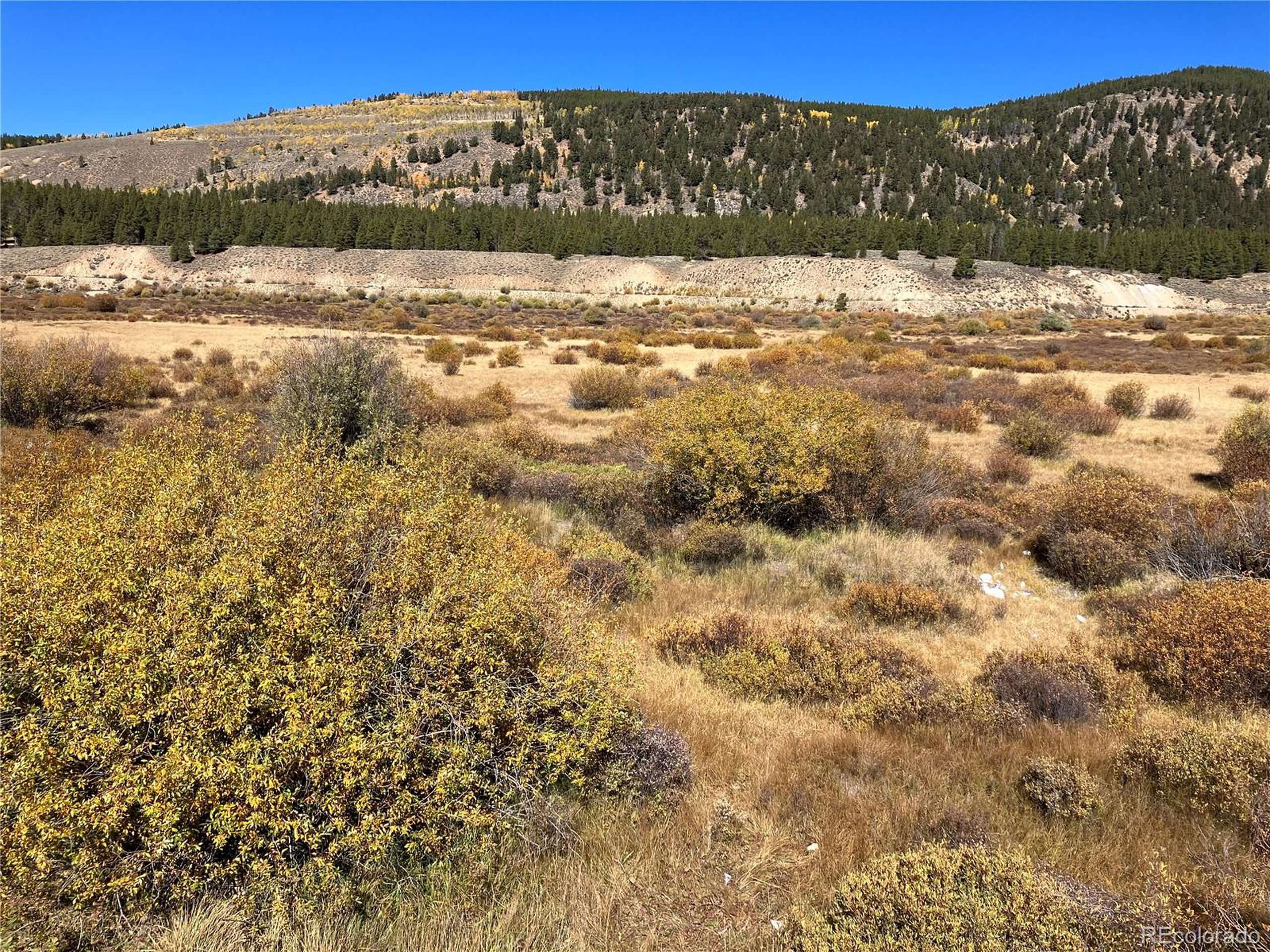 Leadville, CO 0,Leadville Land