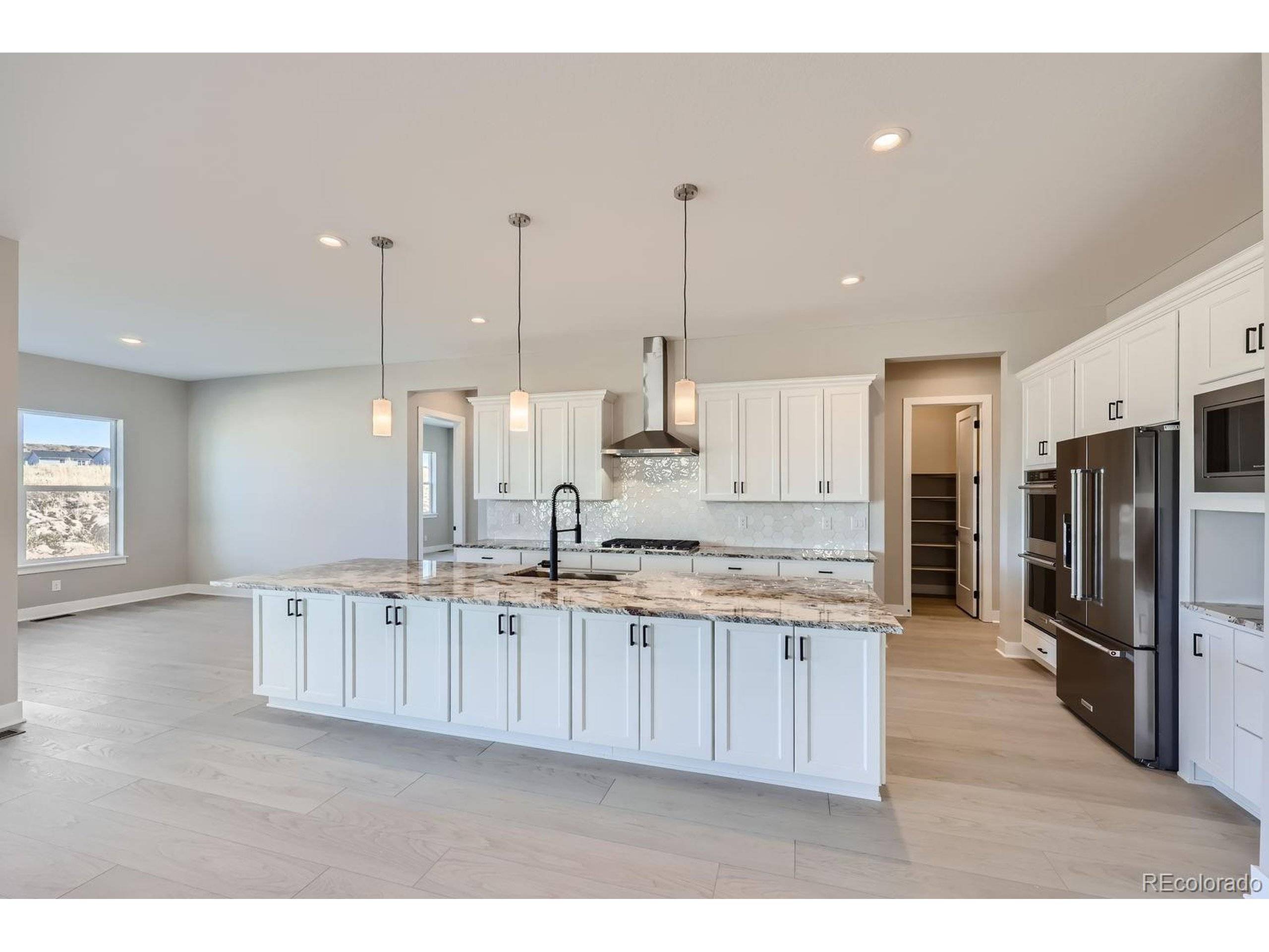 Castle Rock, CO 80104,478 Agoseris Way