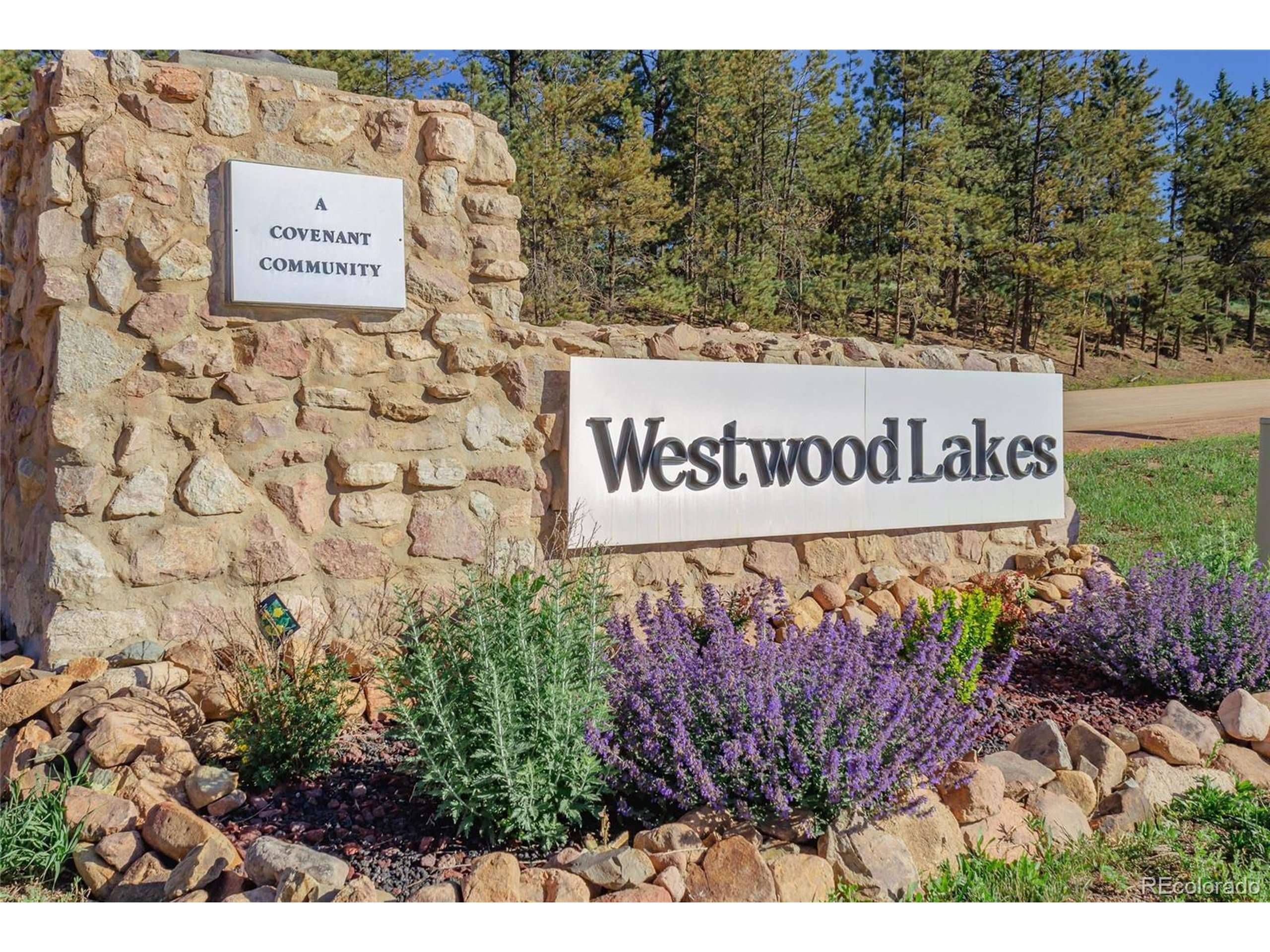 Woodland Park, CO 80863,288 Piney Point Ln