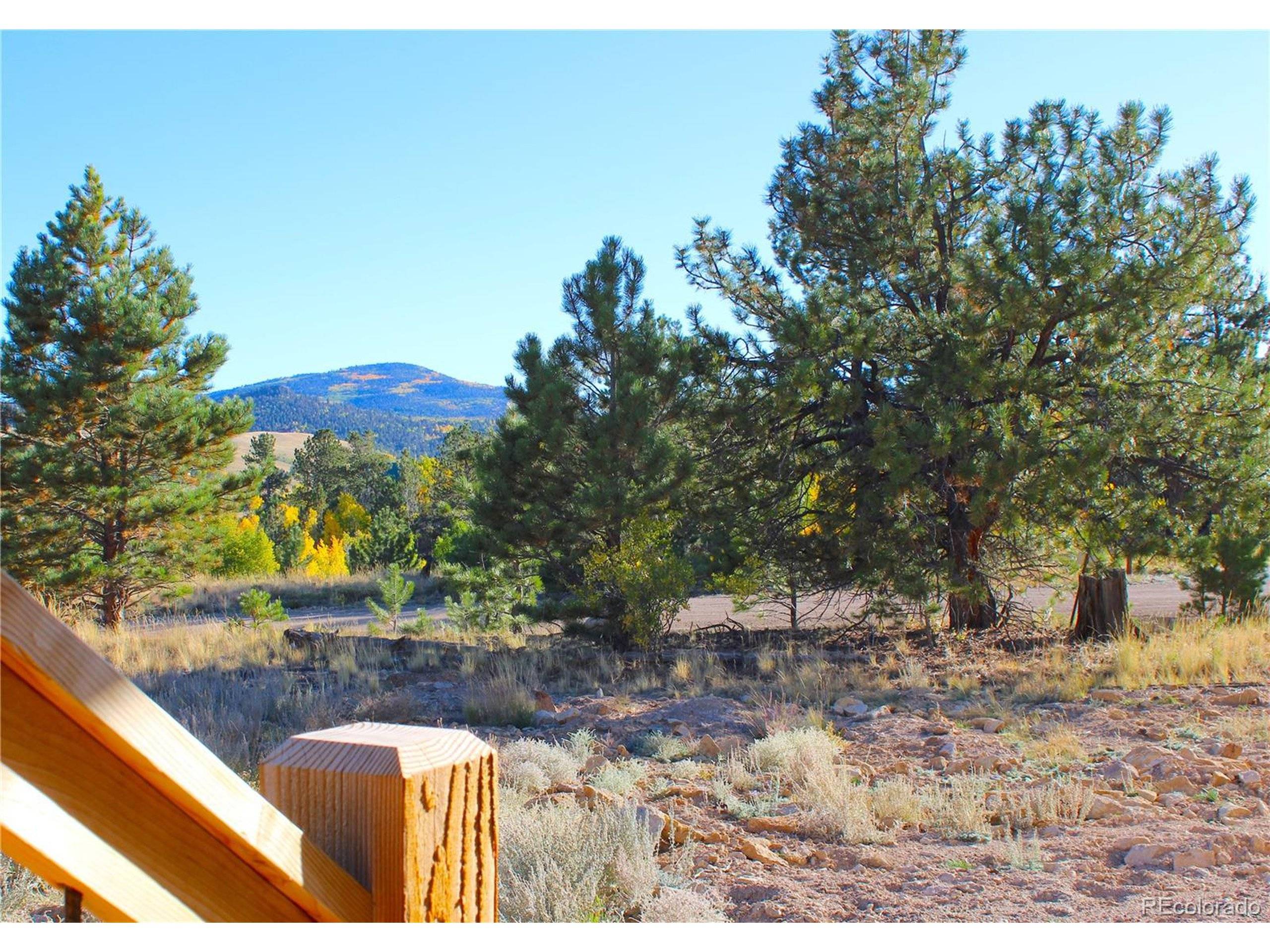 Hartsel, CO 80449,59 Whip Way