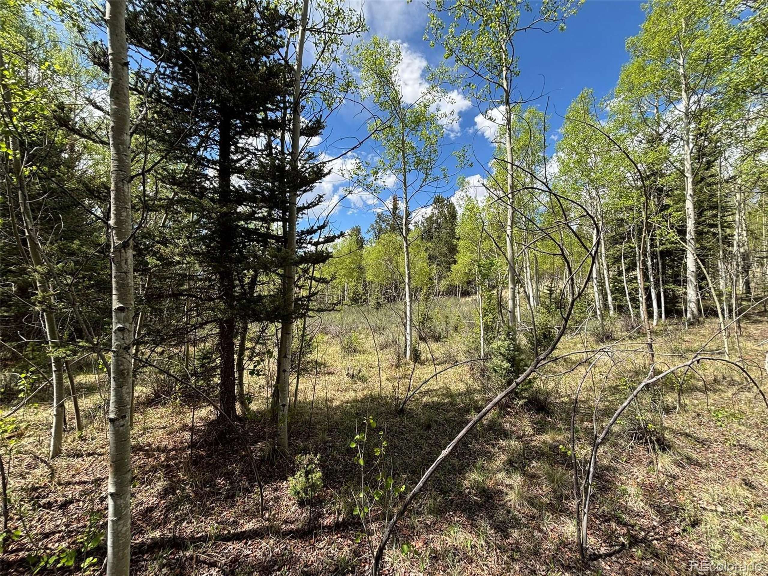 Como, CO 80432,113 Ithaca Ln