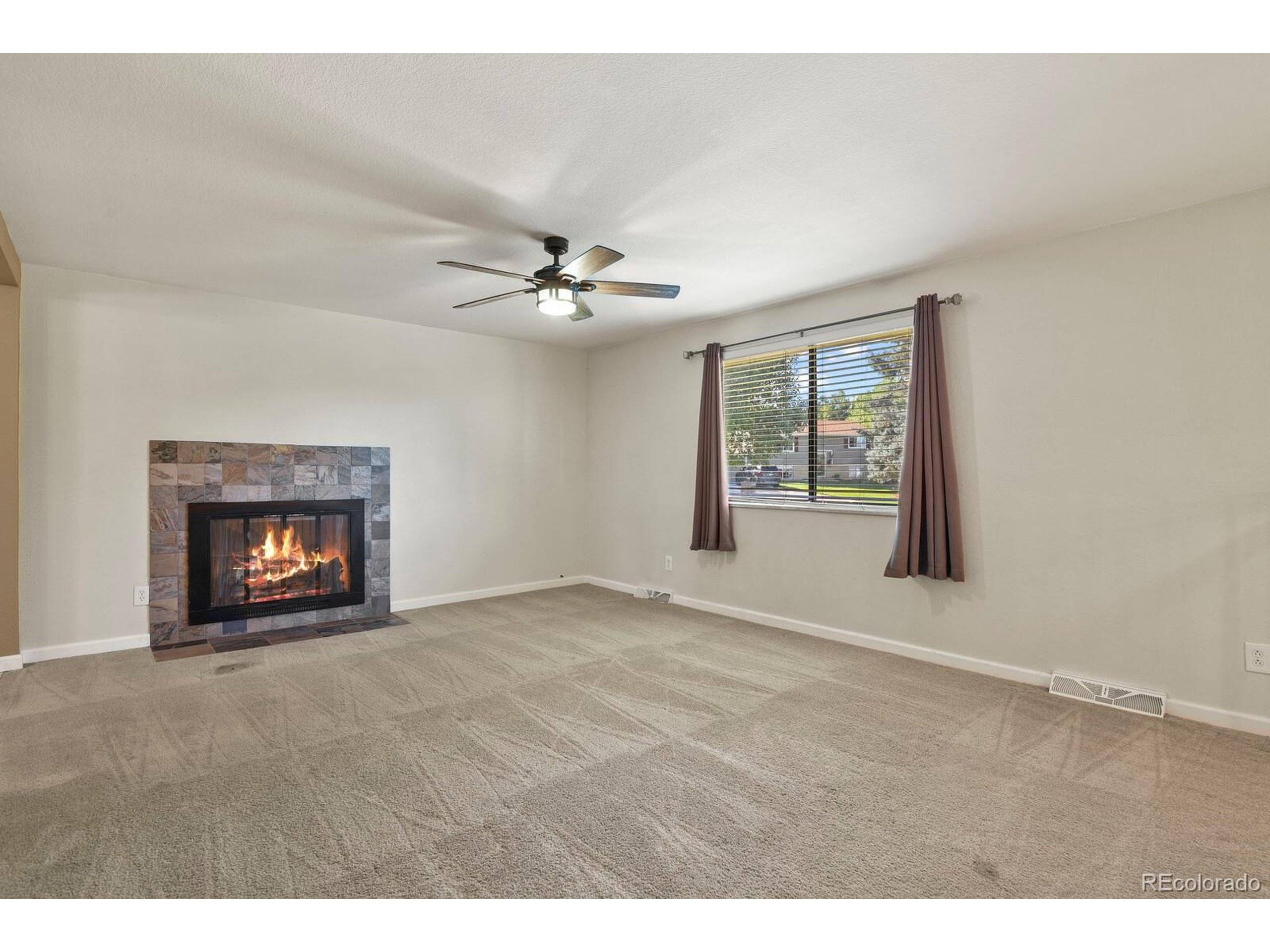 Lone Tree, CO 80124,526 Aries Ct