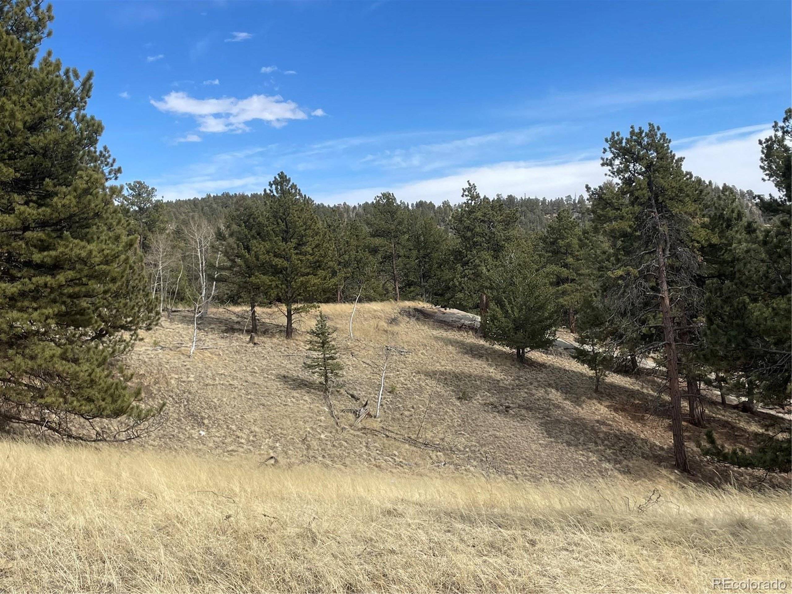 Florissant, CO 80816,86 Junction Cir