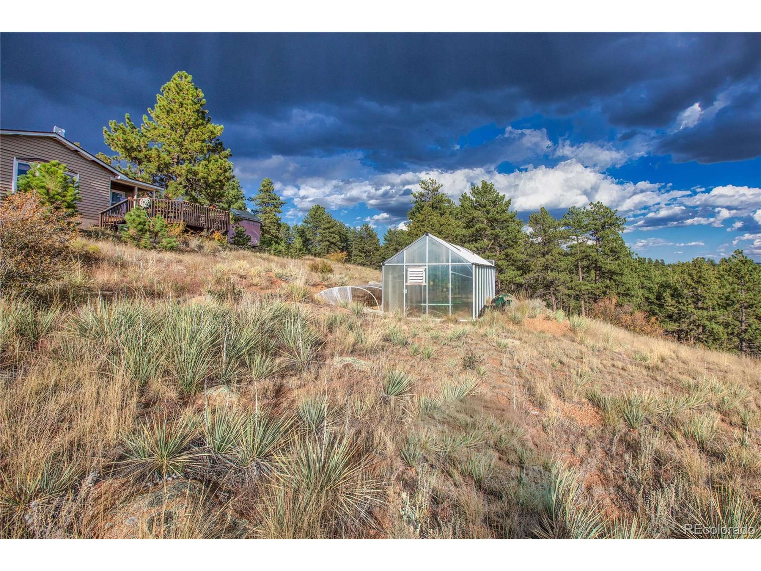 Florissant, CO 80816,518 Drees Dr