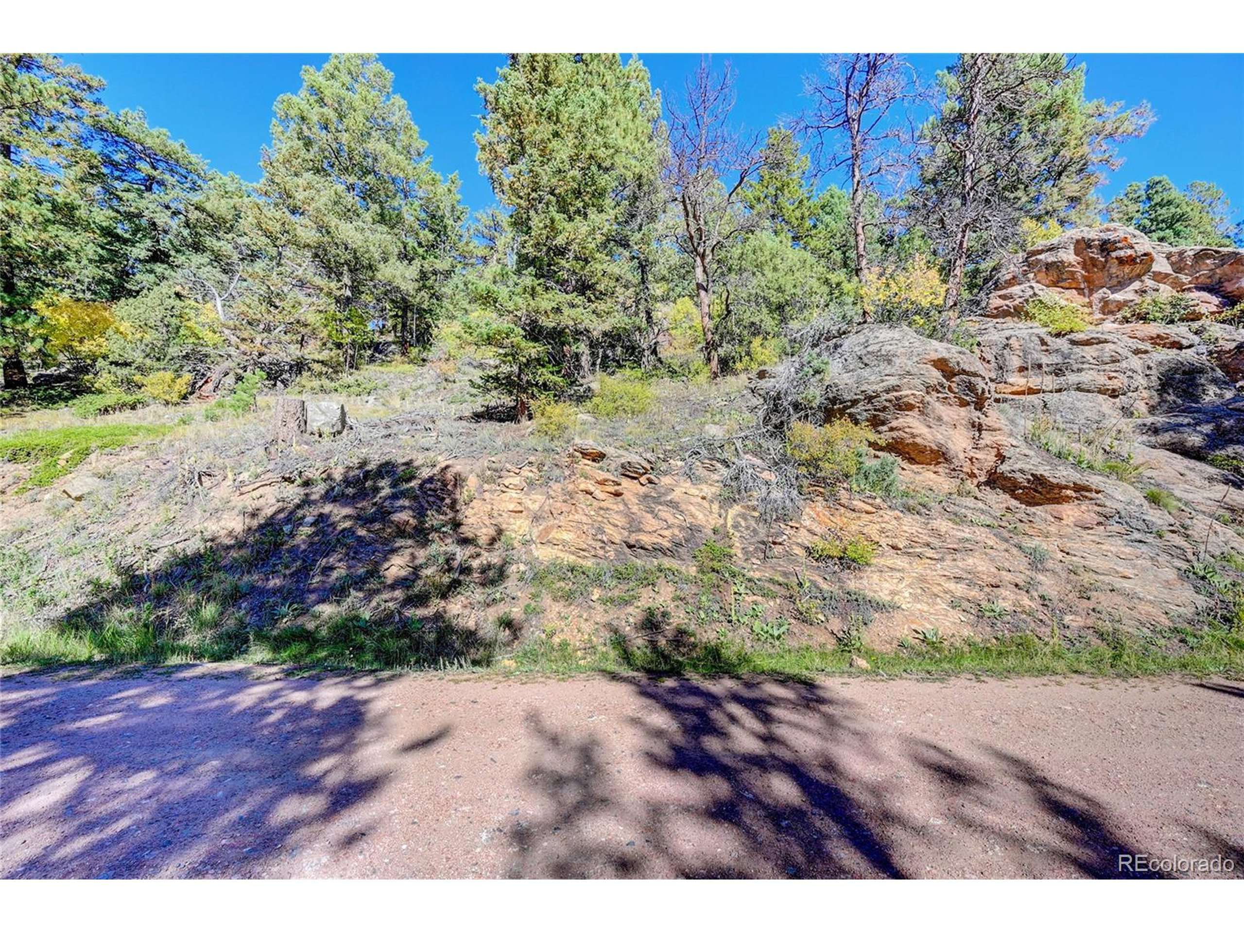 Conifer, CO 80433,11723 Braun Way