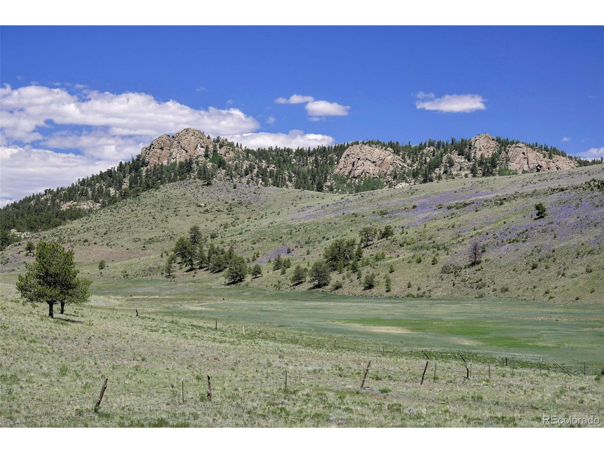 Guffey, CO 80820,294 Wrights Ln