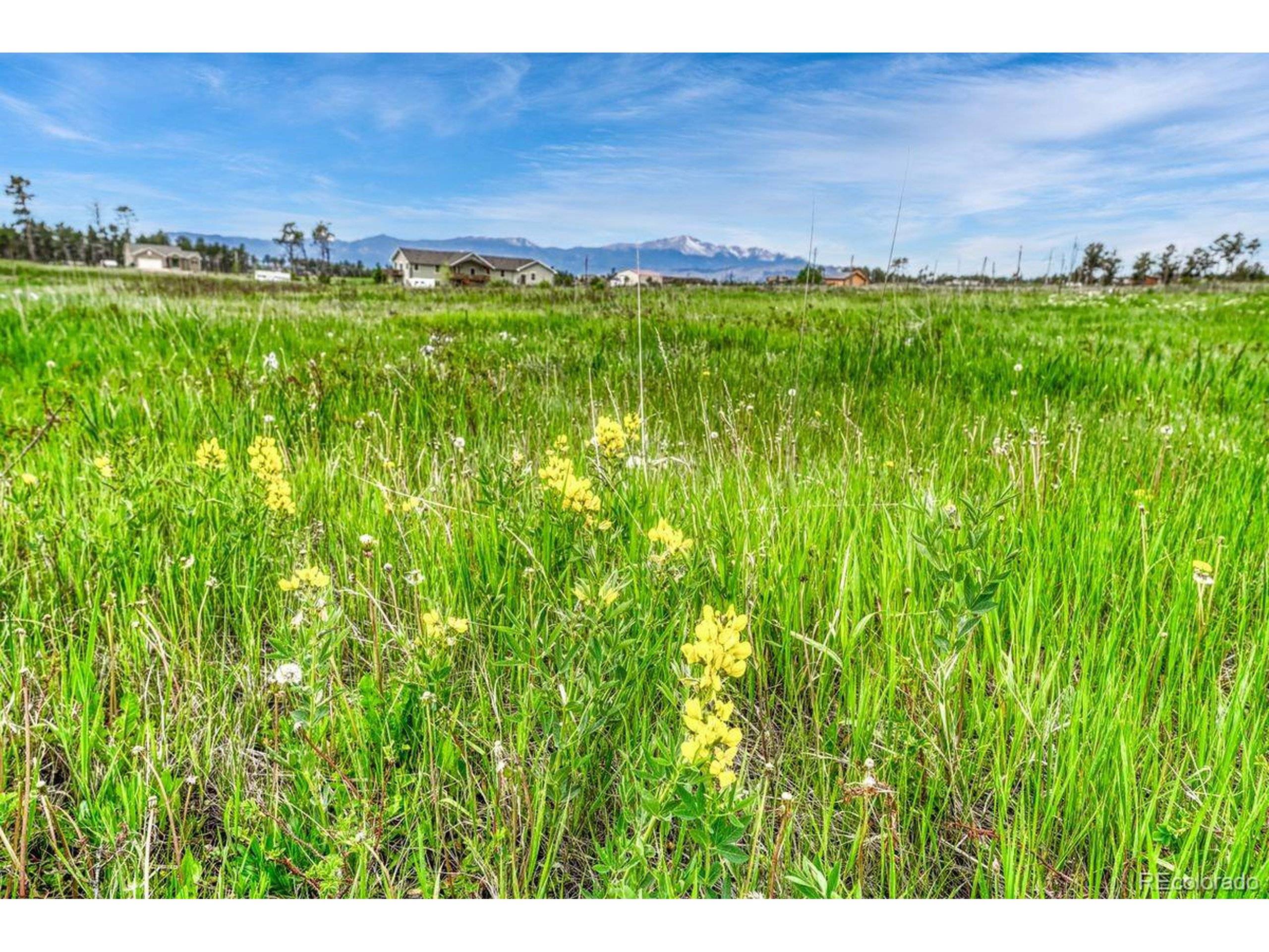 Colorado Springs, CO 80908,6425 Vessey Rd