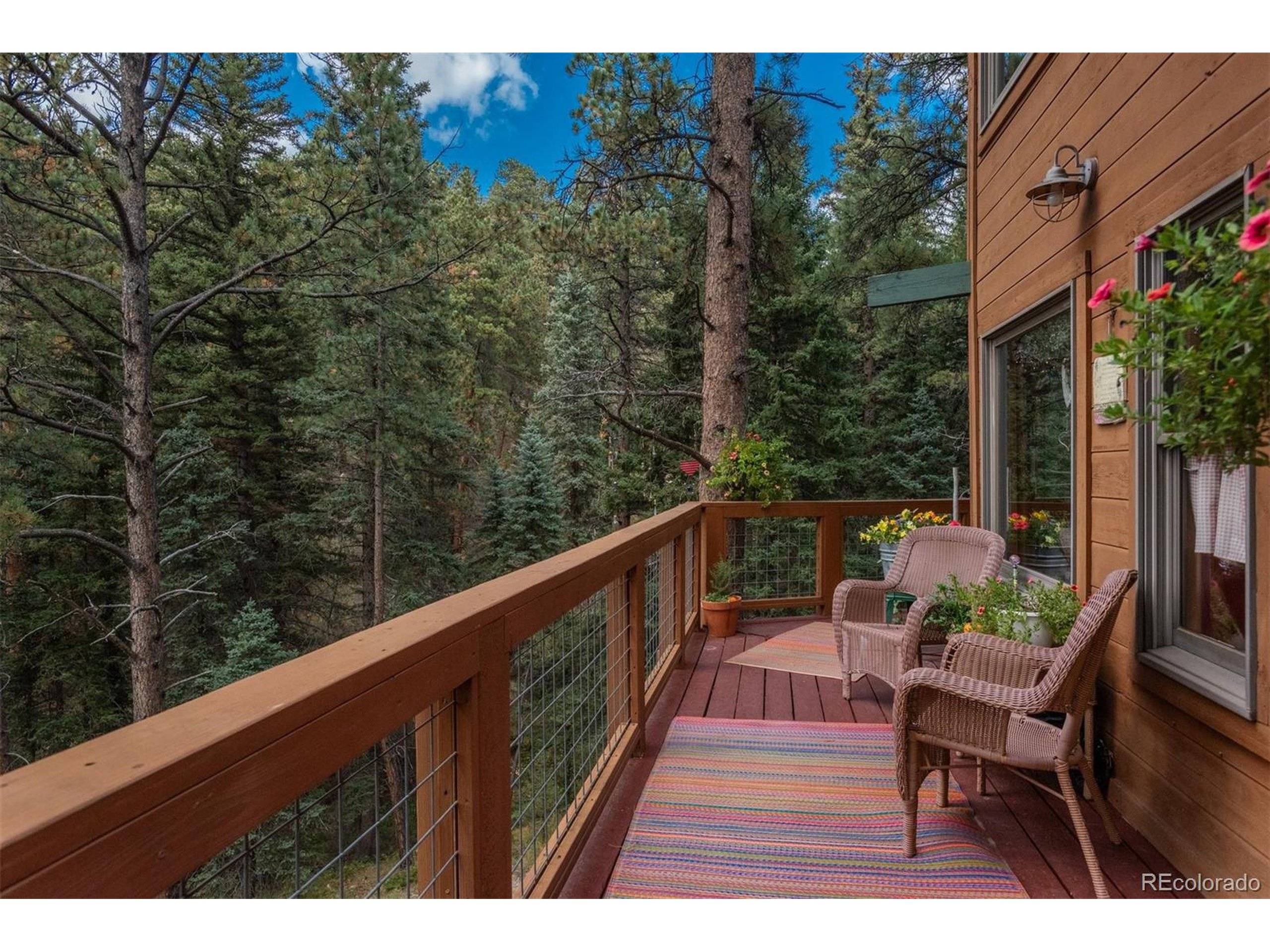 Conifer, CO 80433,24151 Black Bear Ln