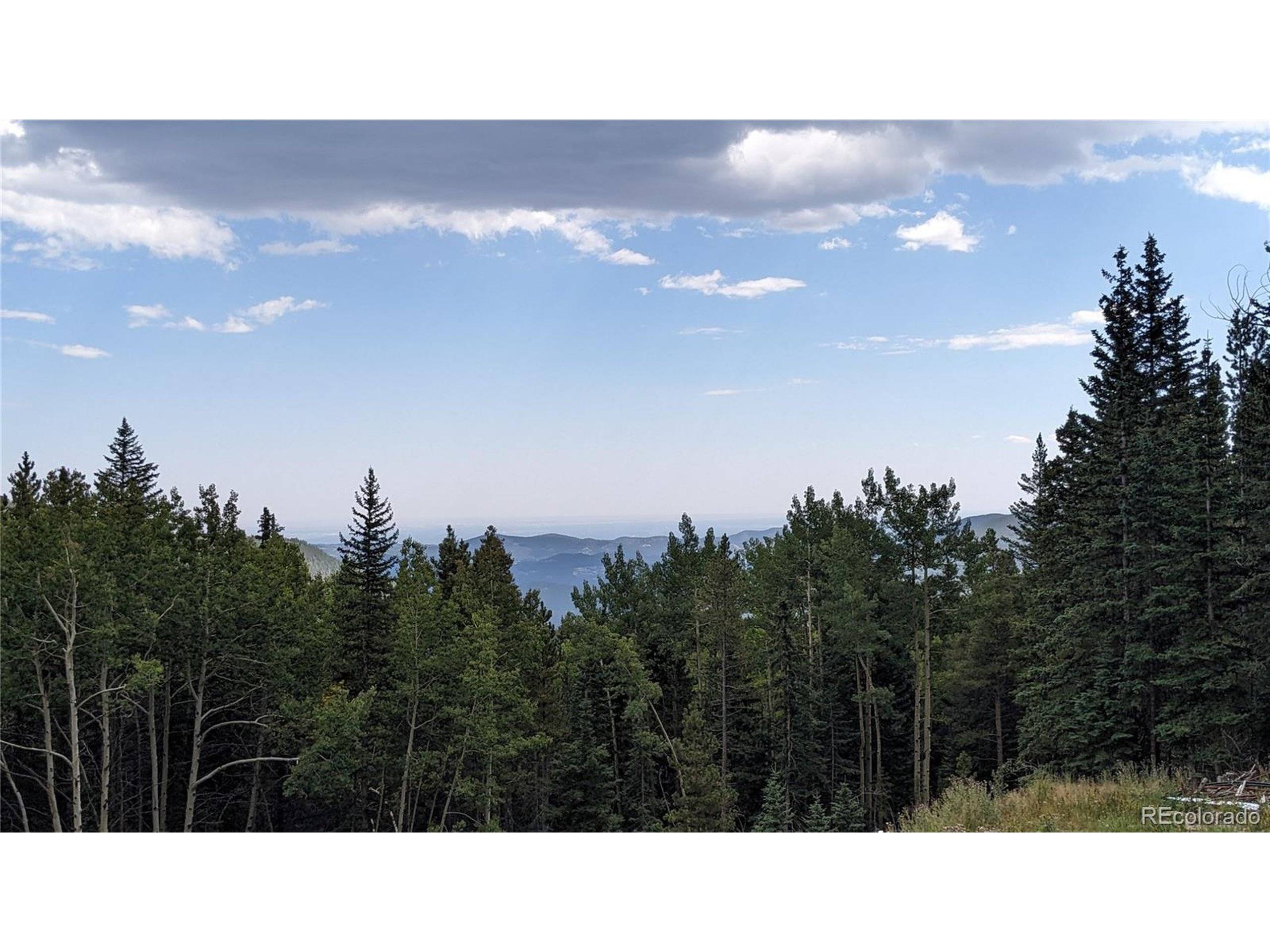 Idaho Springs, CO 80452,429 Sawmill Ln