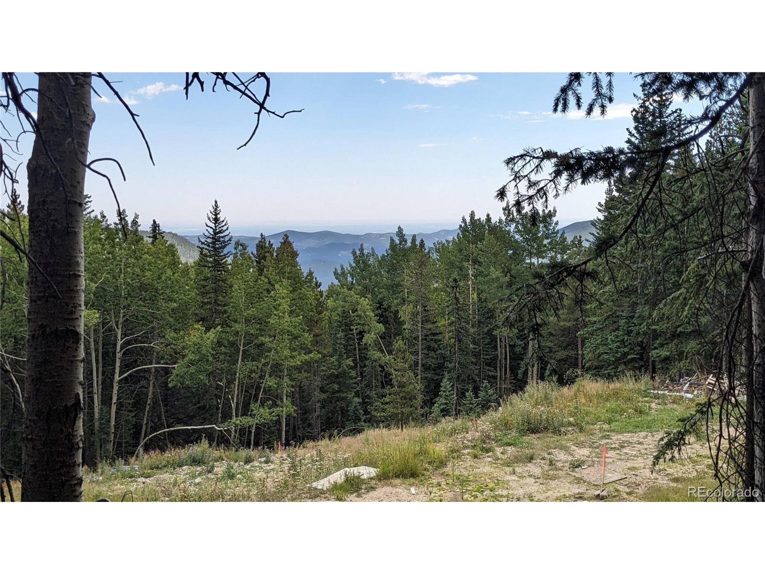 Idaho Springs, CO 80452,429 Sawmill Ln