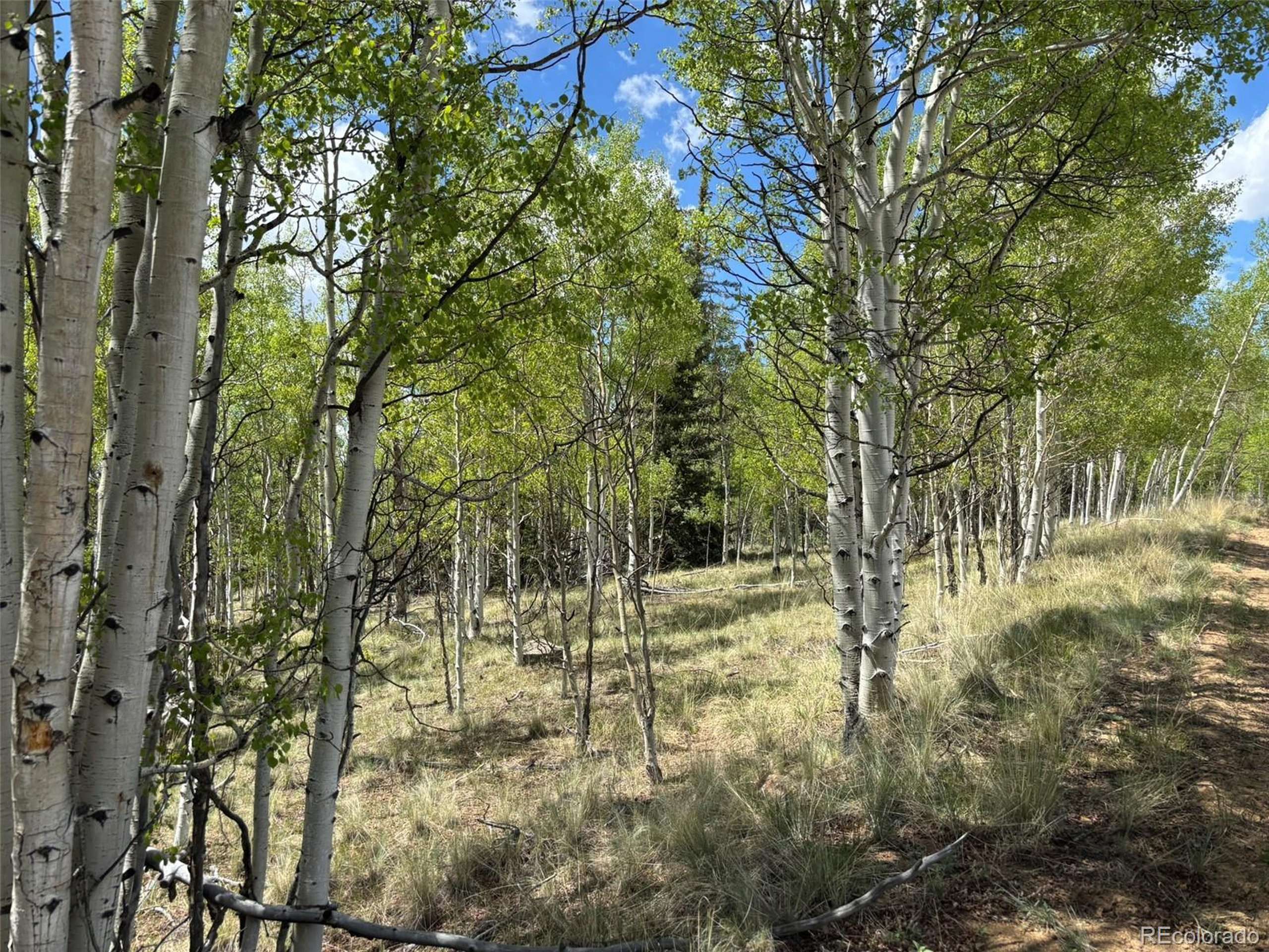 Como, CO 80432,75 Ithaca Ln