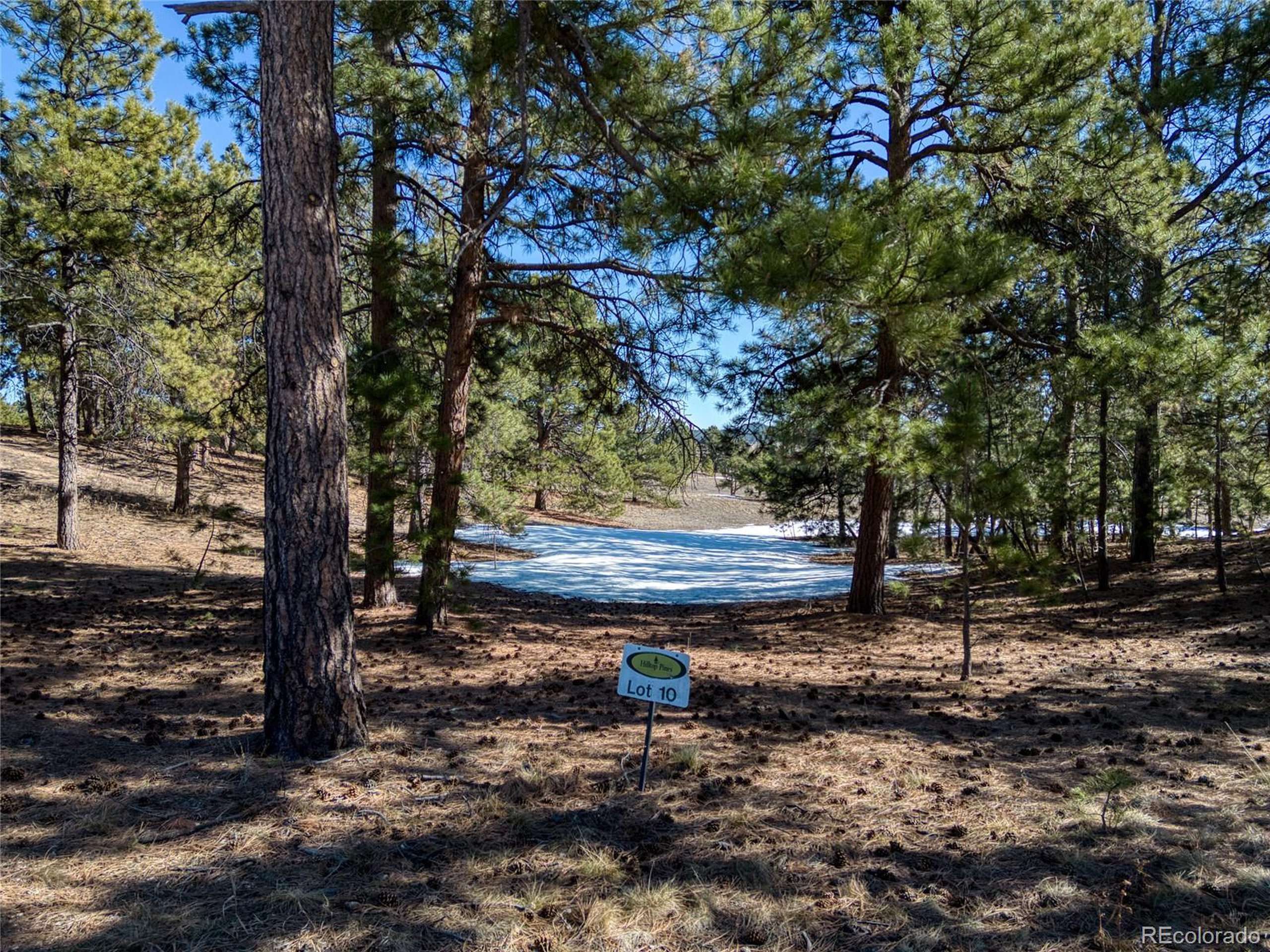 Monument, CO 80132,18845 Hilltop Pines Path