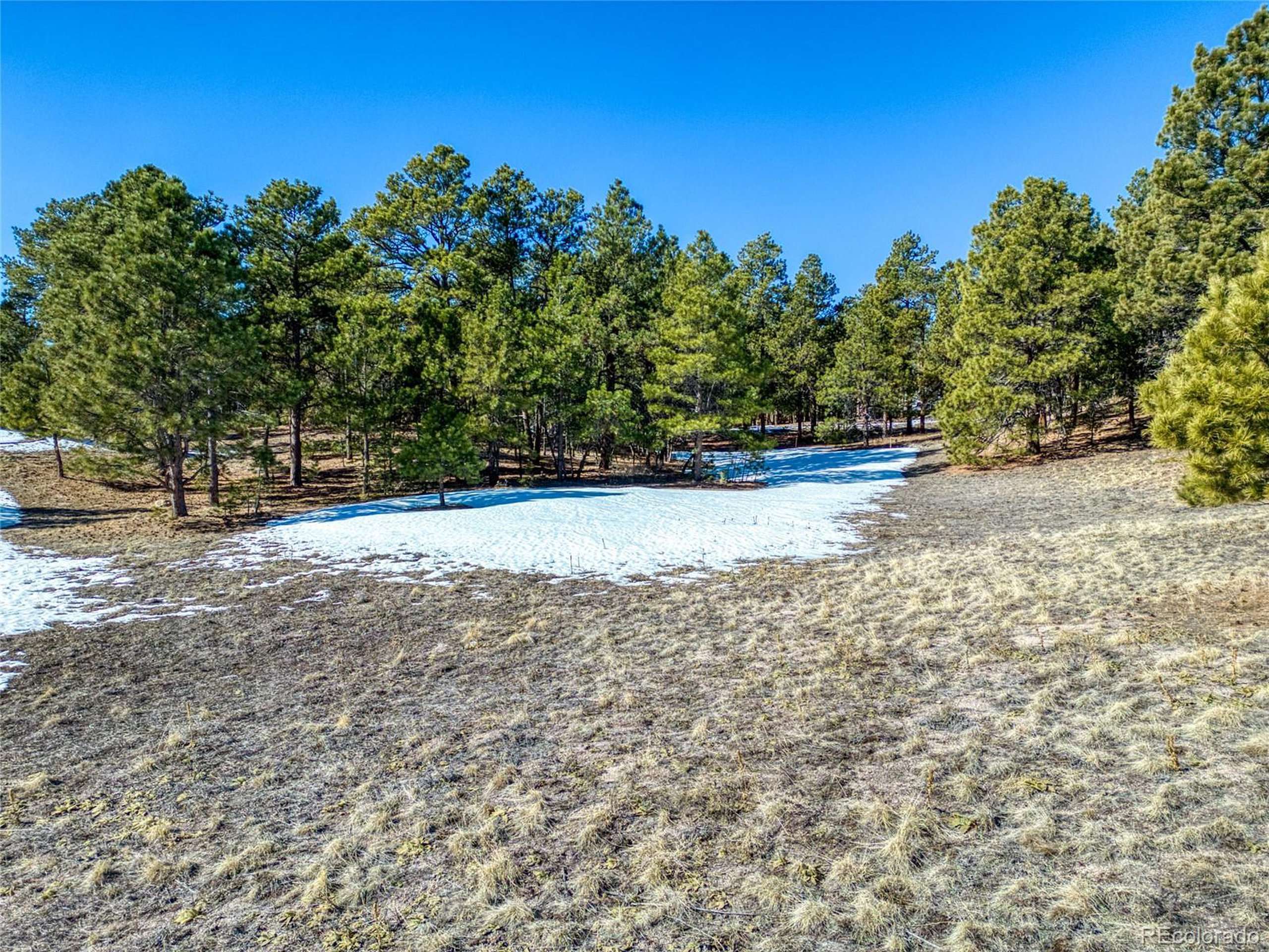 Monument, CO 80132,18845 Hilltop Pines Path