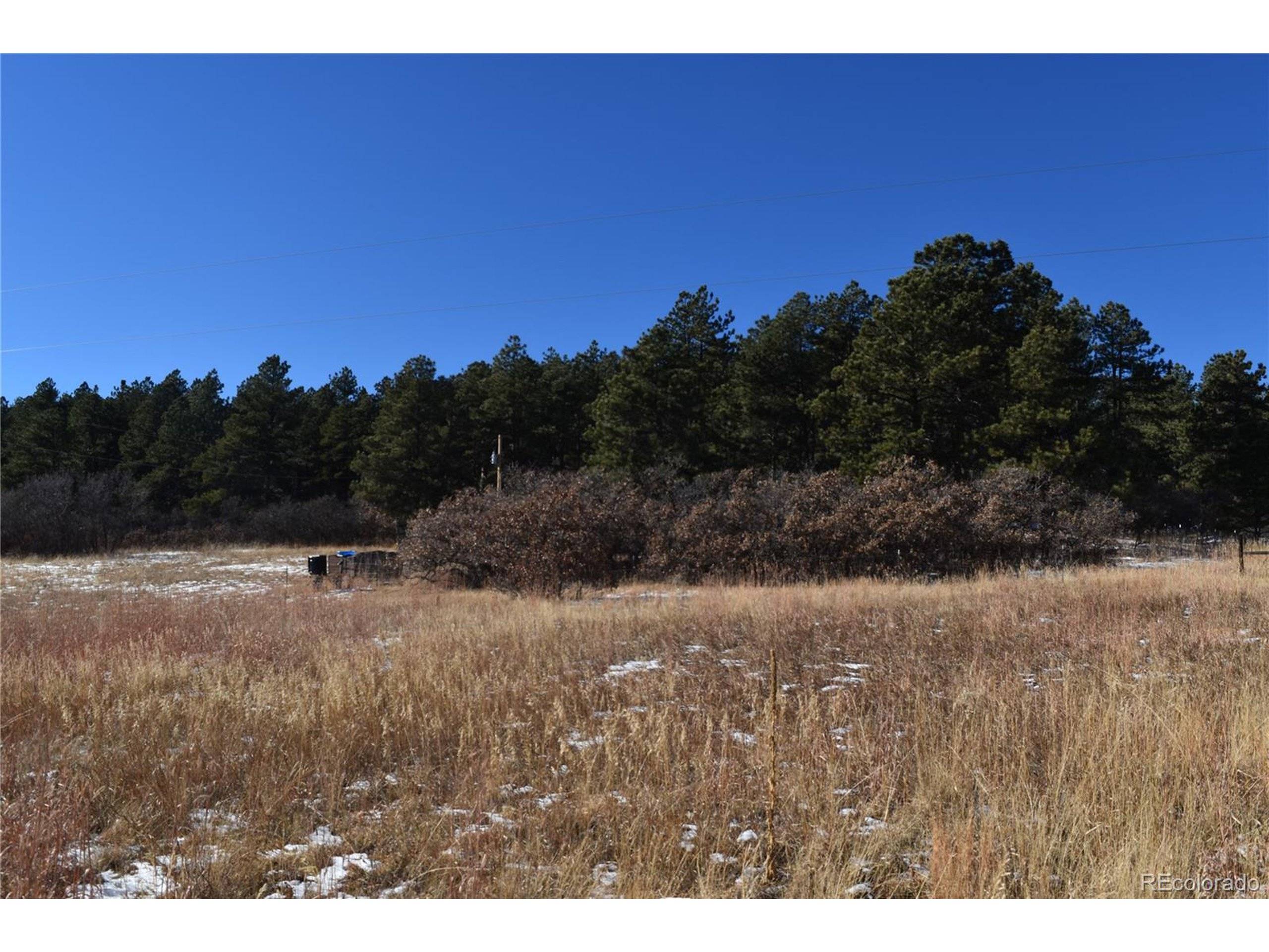 Larkspur, CO 80118,12778 Greenland Acres Rd