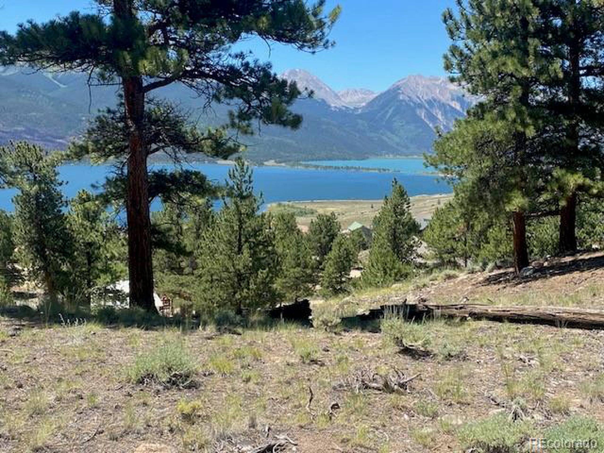 Twin Lakes, CO 81251,274 Parry Peak Dr