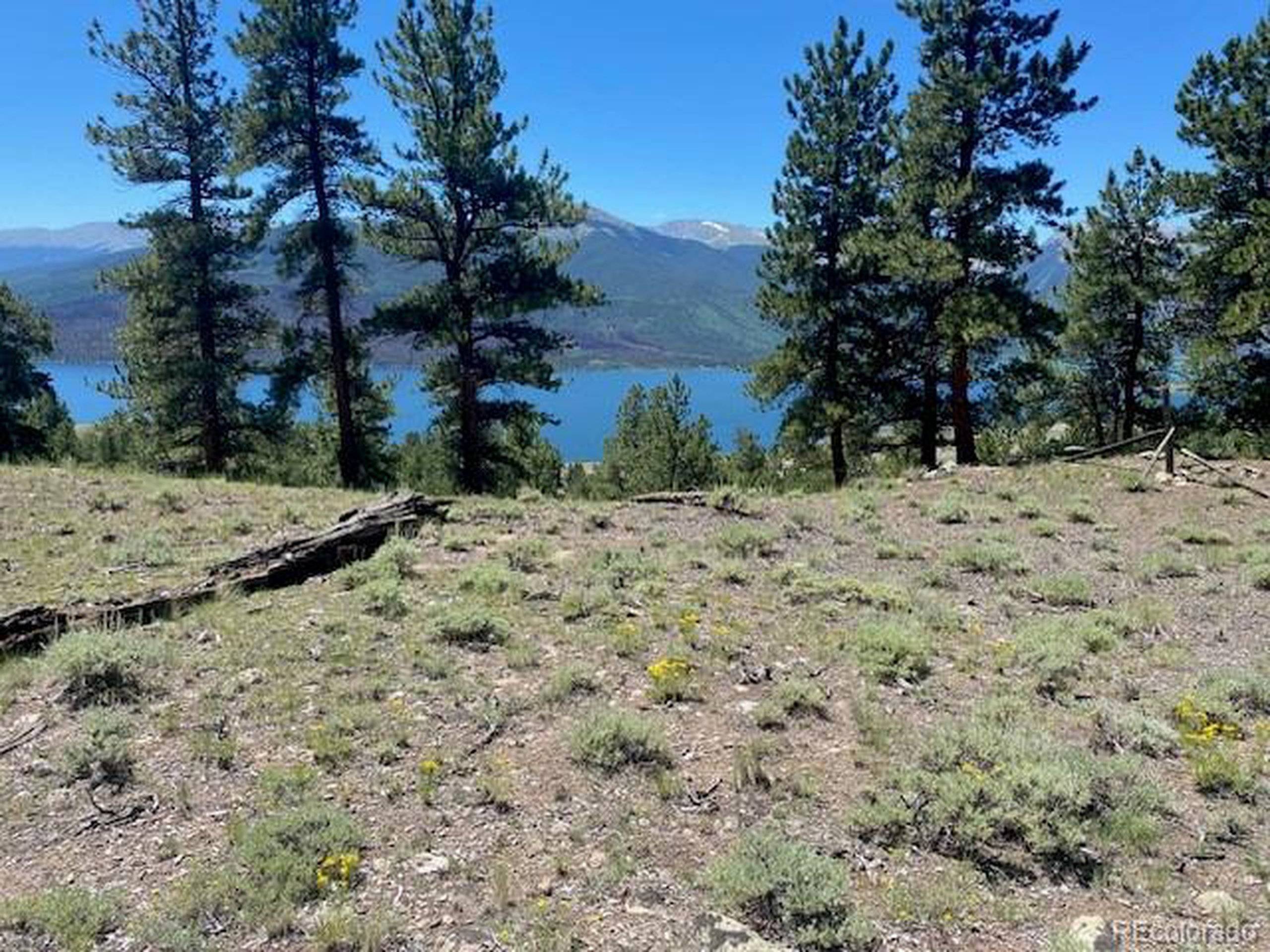 Twin Lakes, CO 81251,274 Parry Peak Dr