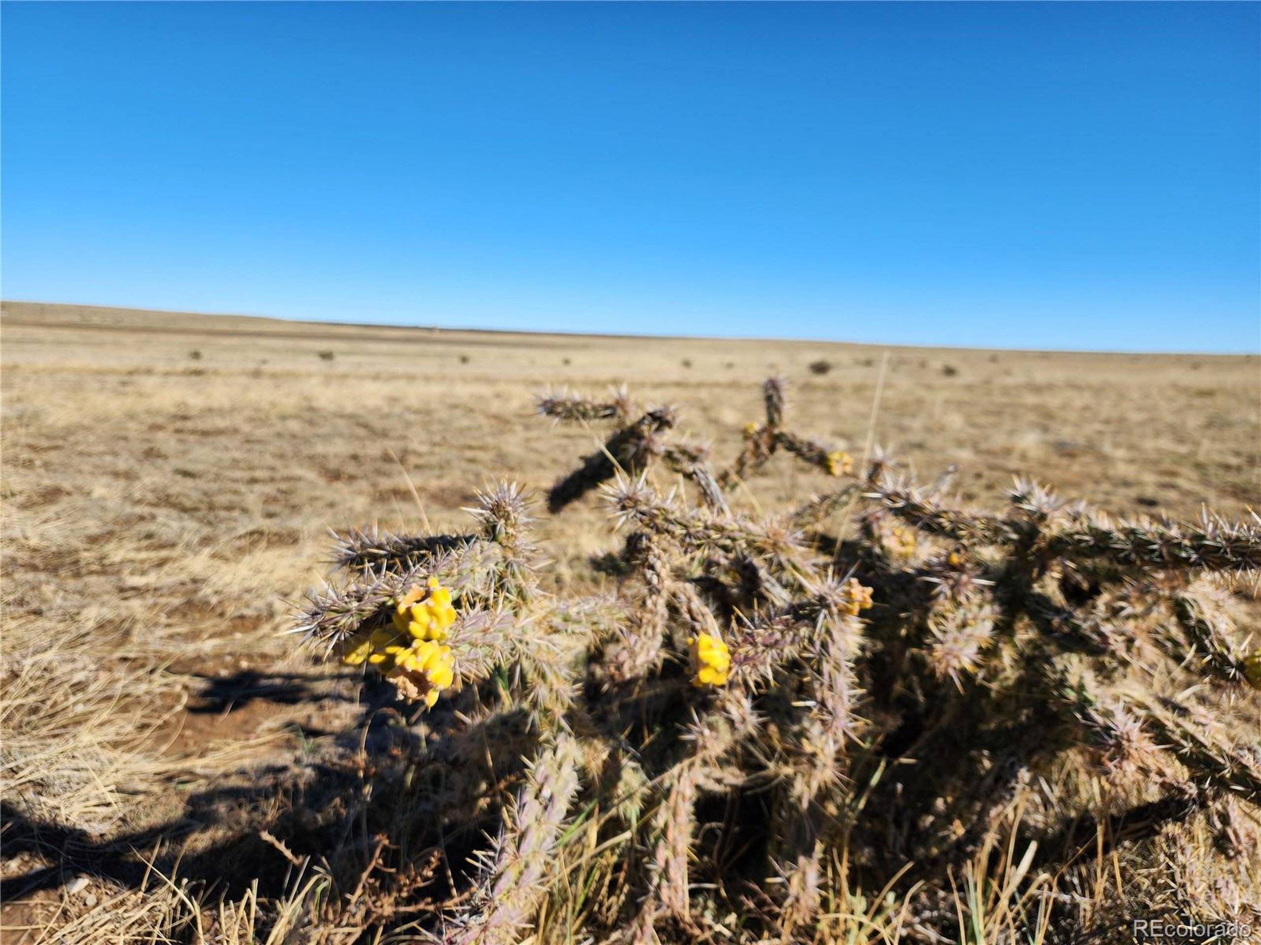 Walsenburg, CO 81089,1 CO Rd 103