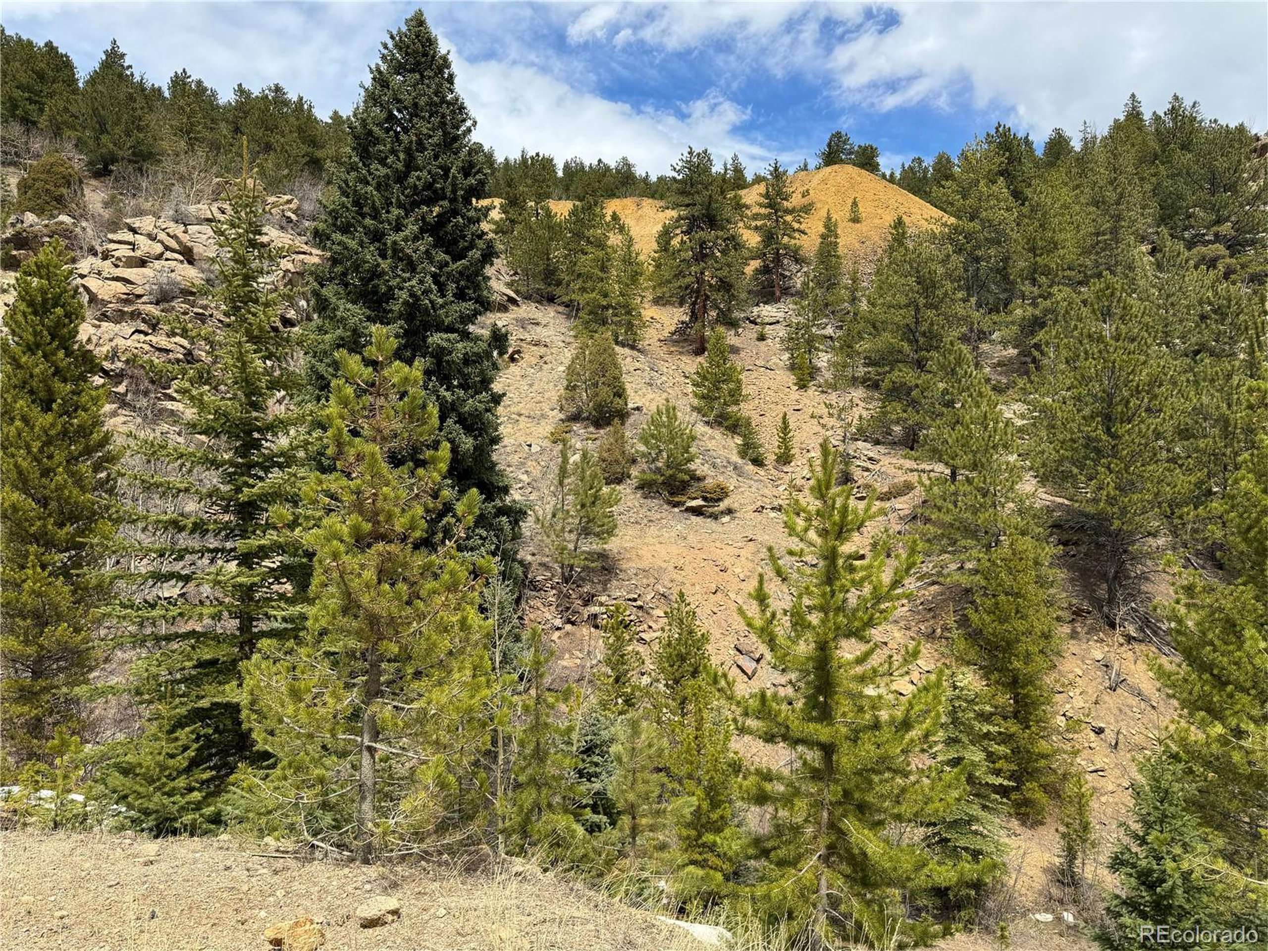 Idaho Springs, CO 80452,0 Gumtree/Freeland Extension /Eureka/ Belmont Mining