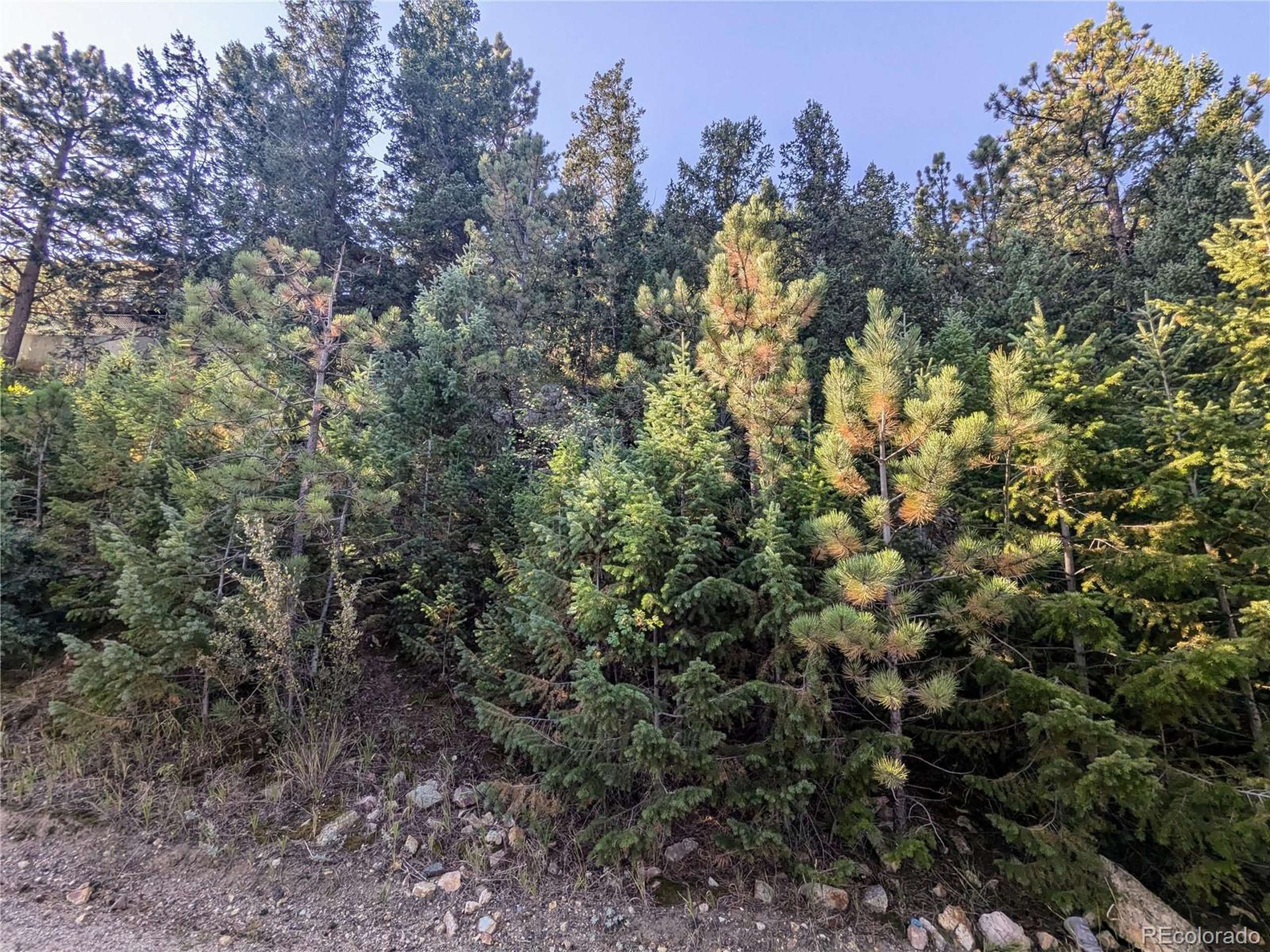 Idaho Springs, CO 80452,Divide View Dr