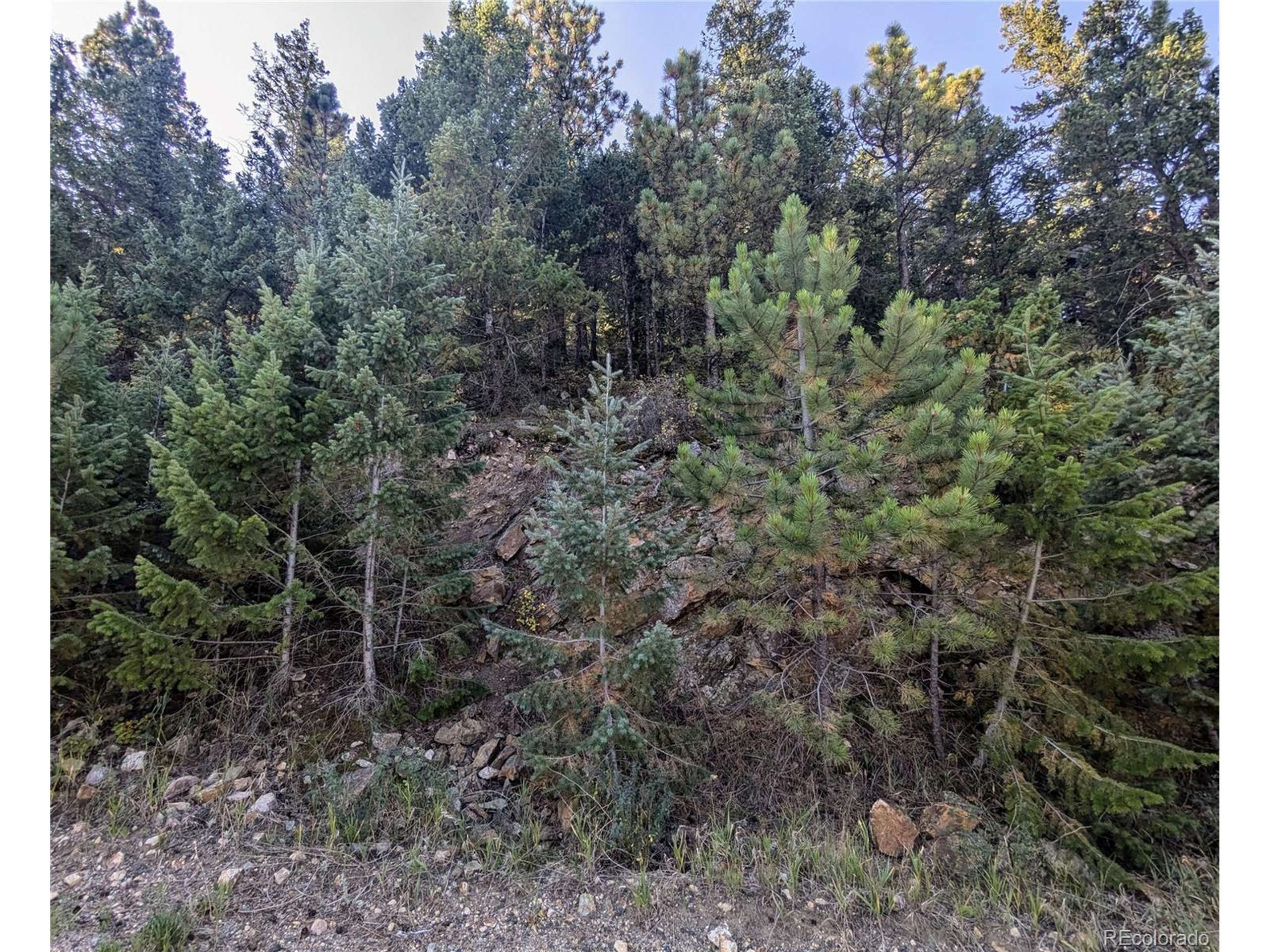 Idaho Springs, CO 80452,Divide View Dr