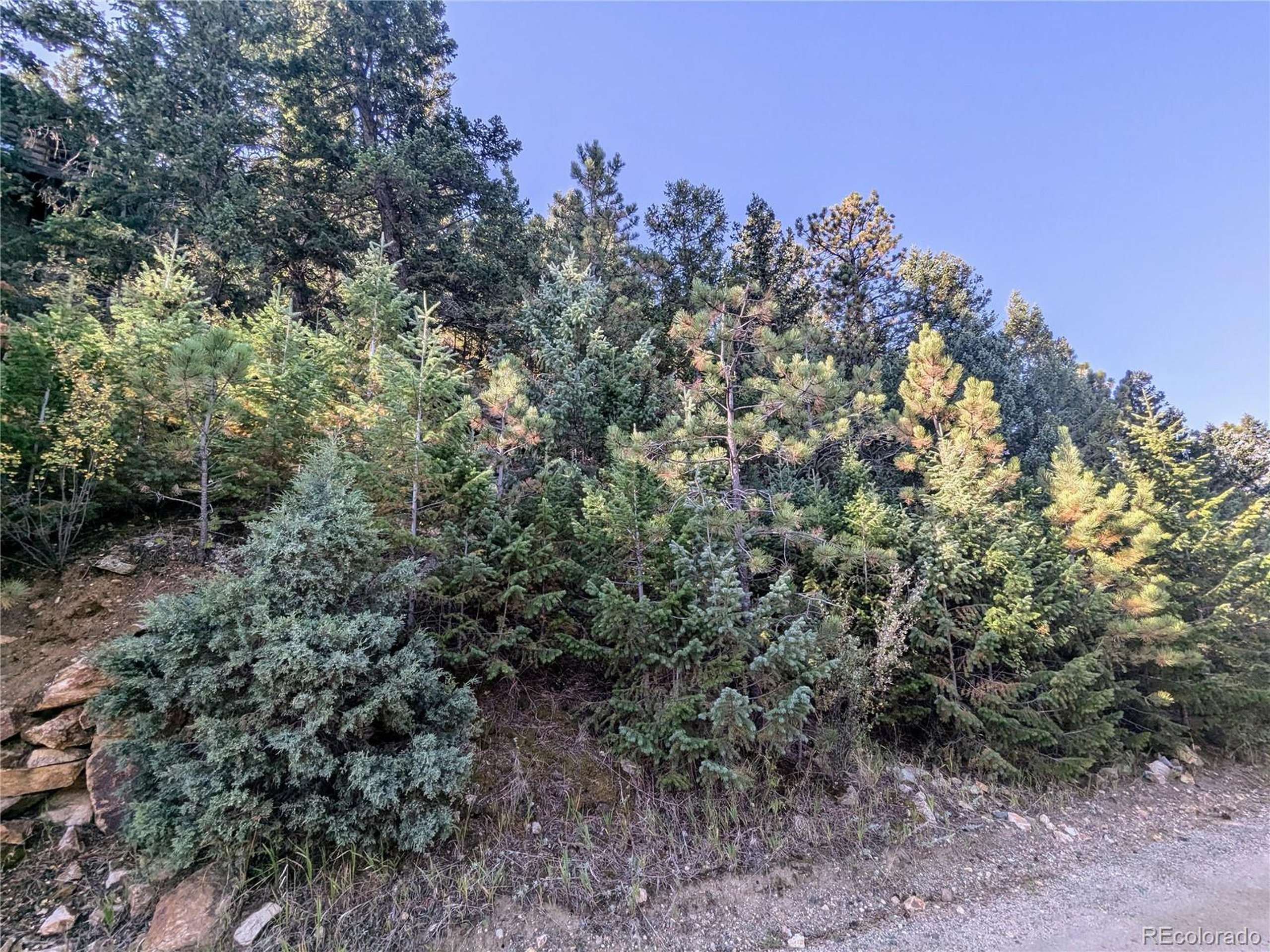 Idaho Springs, CO 80452,Divide View Dr