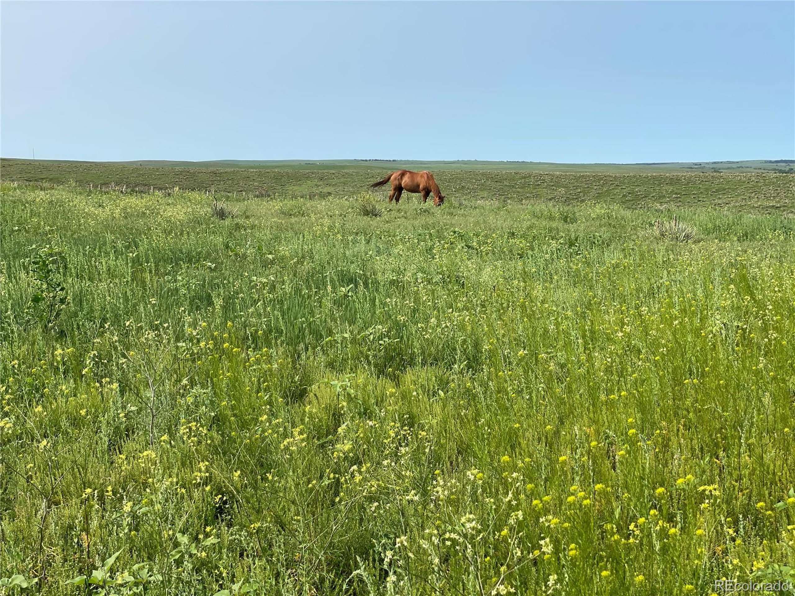 Agate, CO 80105,County Road 166