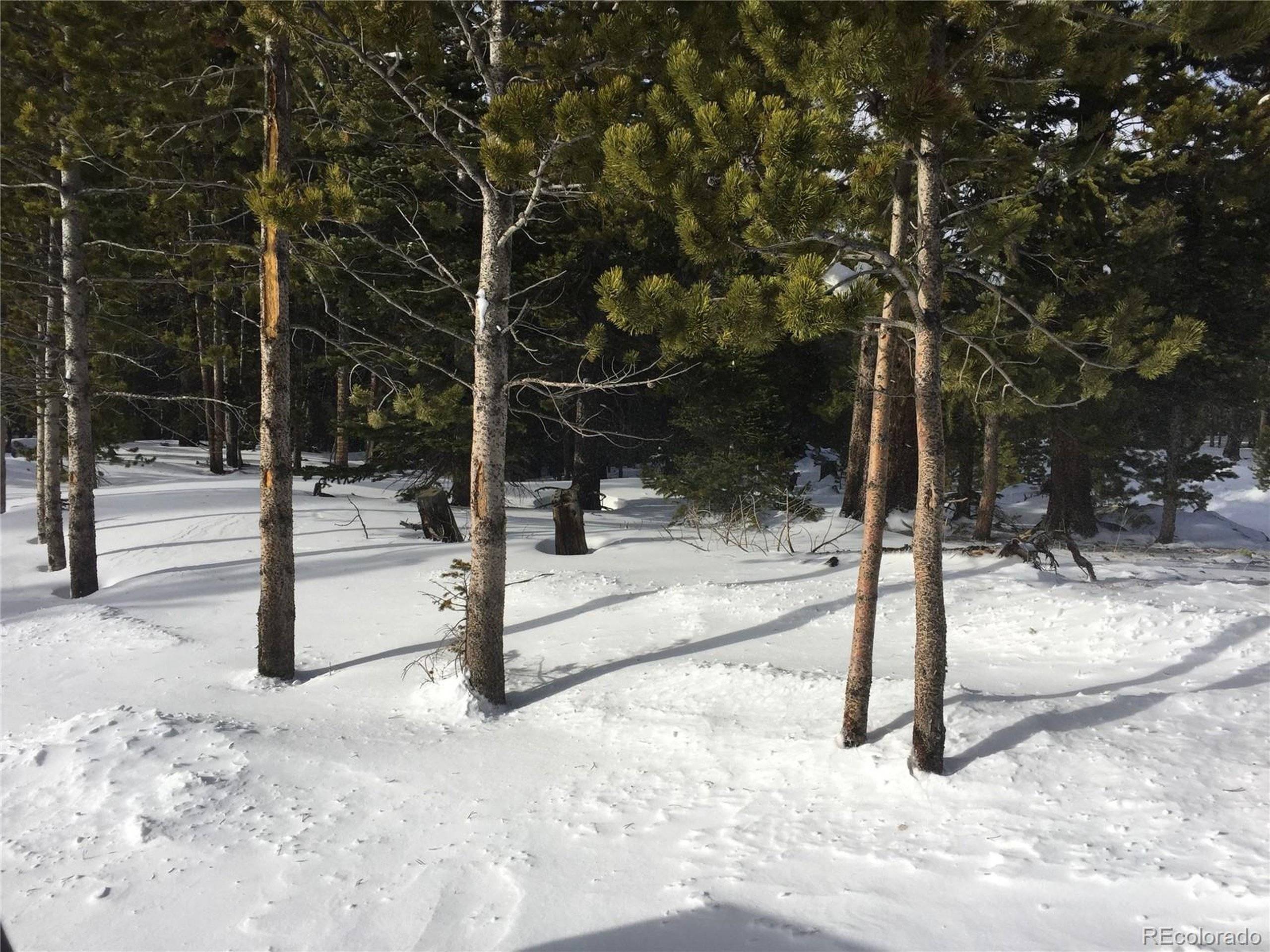 Idaho Springs, CO 80452,Alice Road