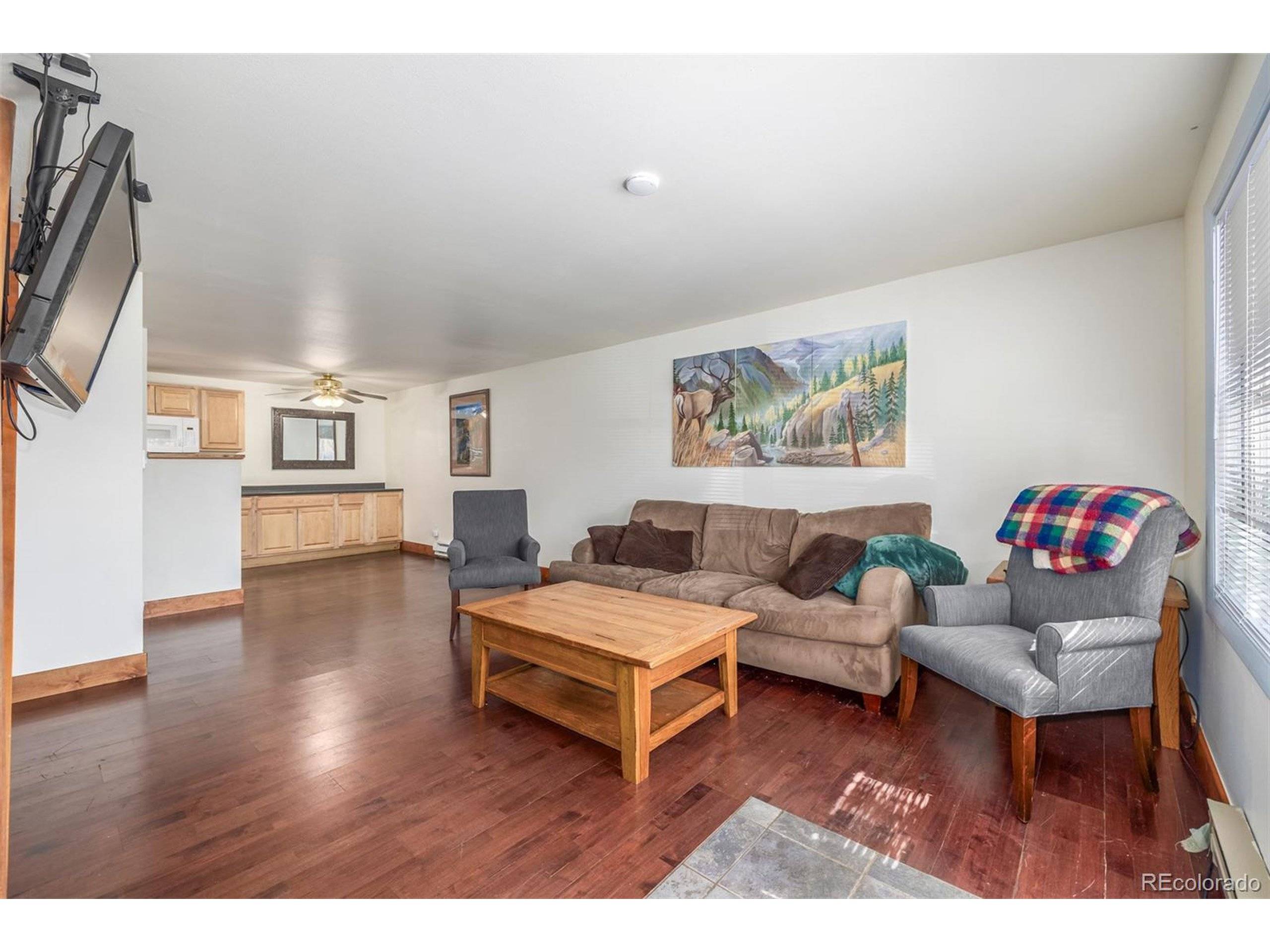 Dillon, CO 80435,396 Cove Blvd #3