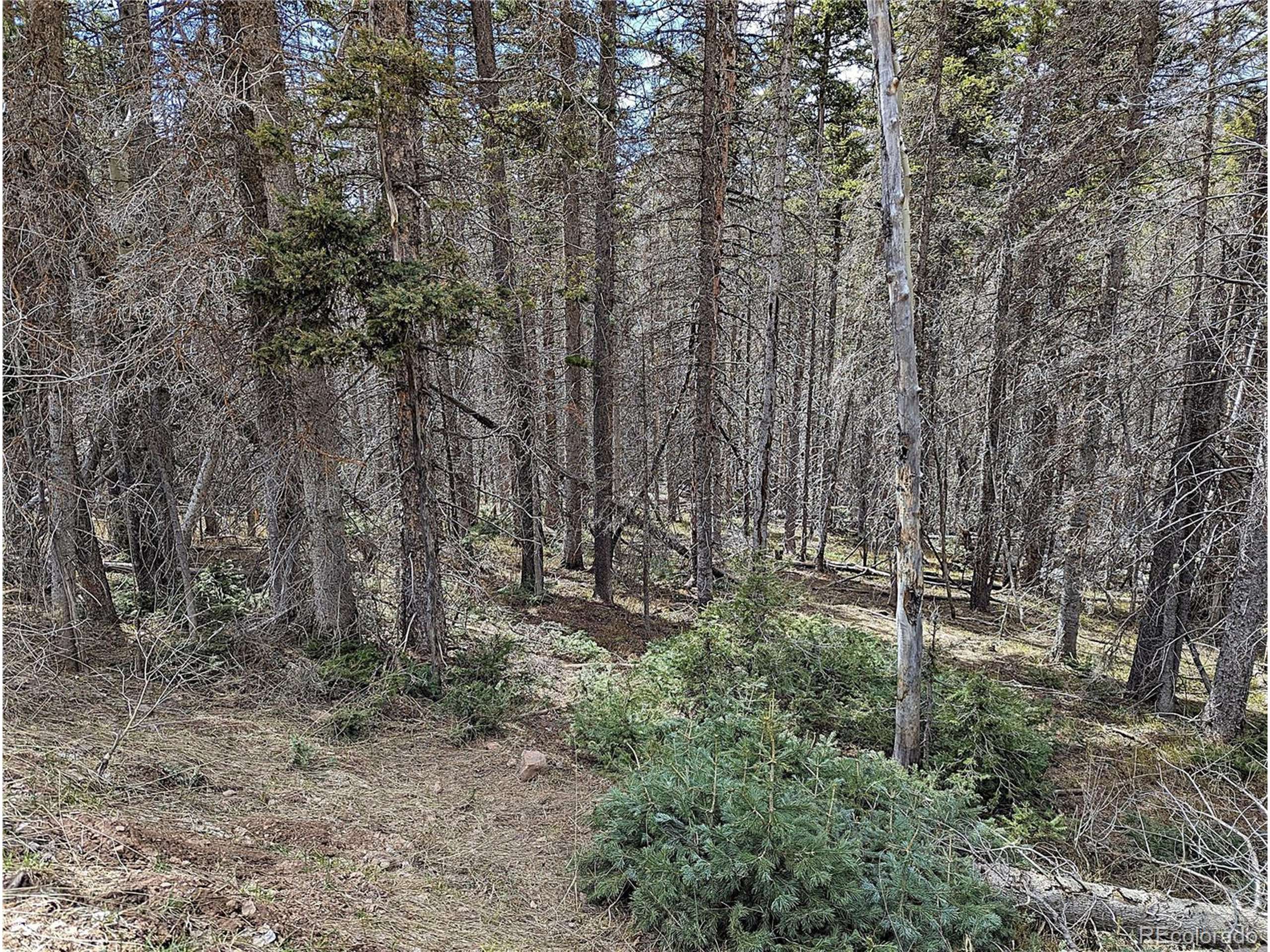 Fort Garland, CO 81133,2767 Purnell Ln
