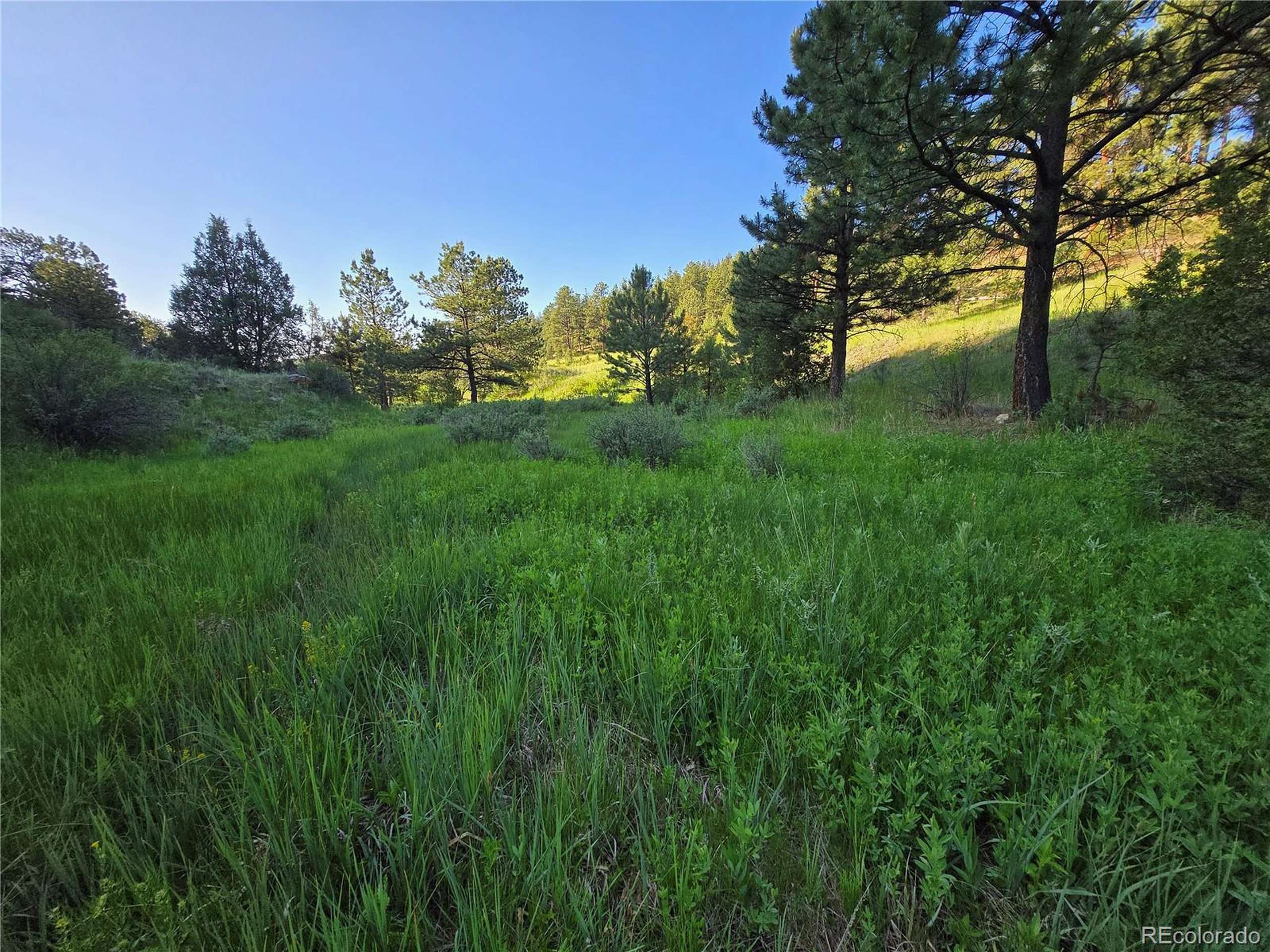 Pine, CO 80470,Address not disclosed