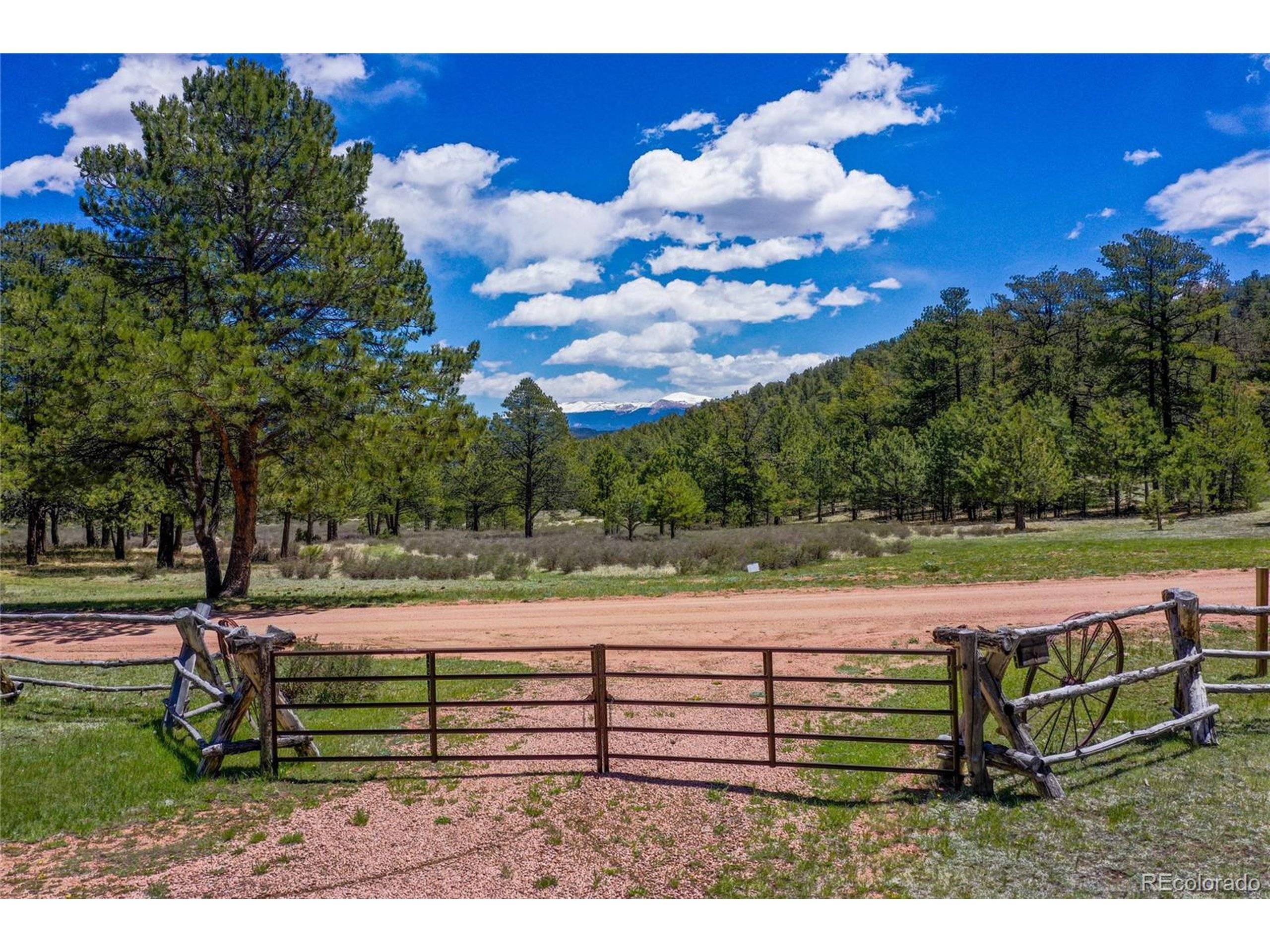 Guffey, CO 80820,437 Langnis Rd