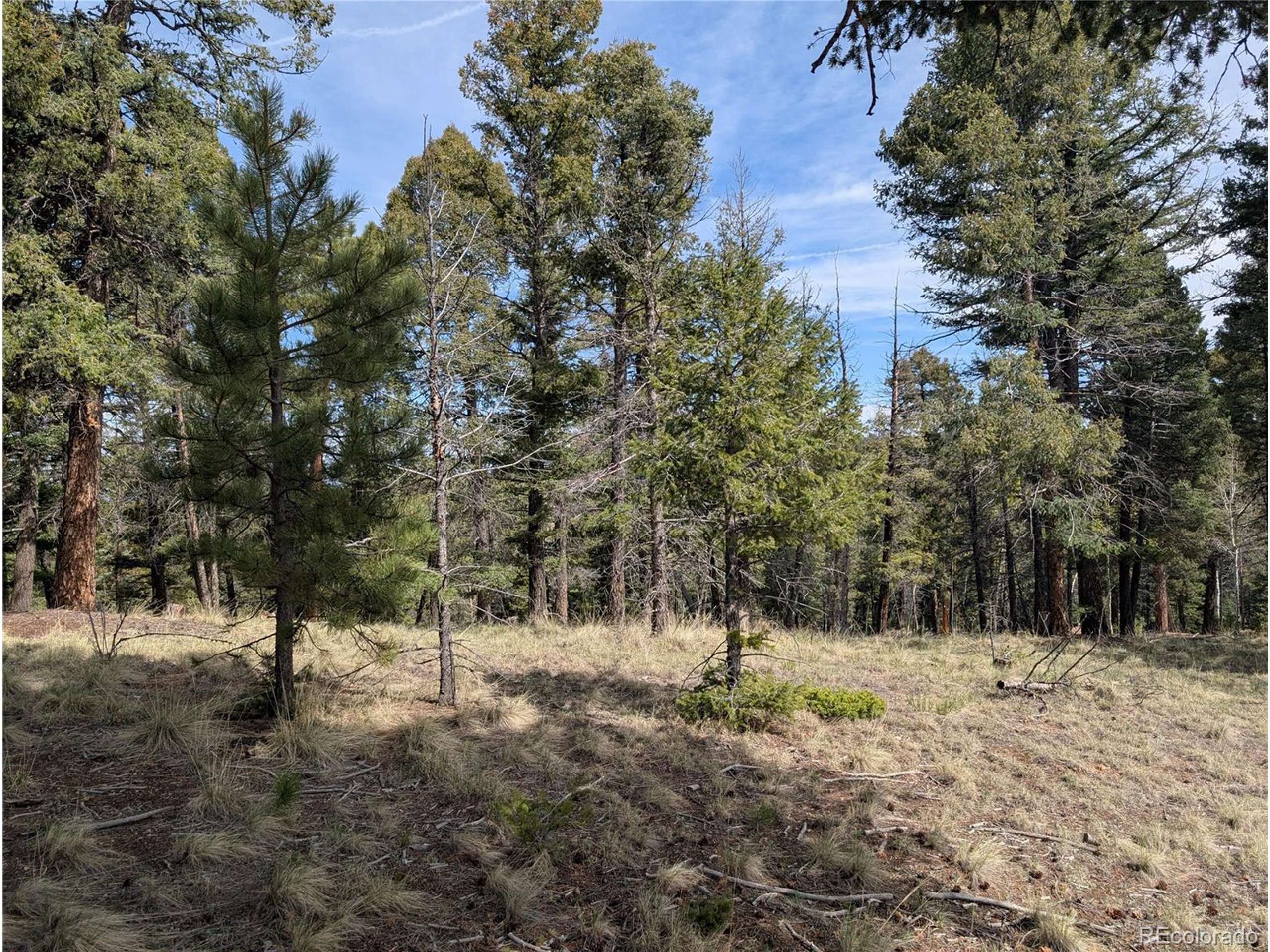 Florissant, CO 80816,971 Spring Valley Ln