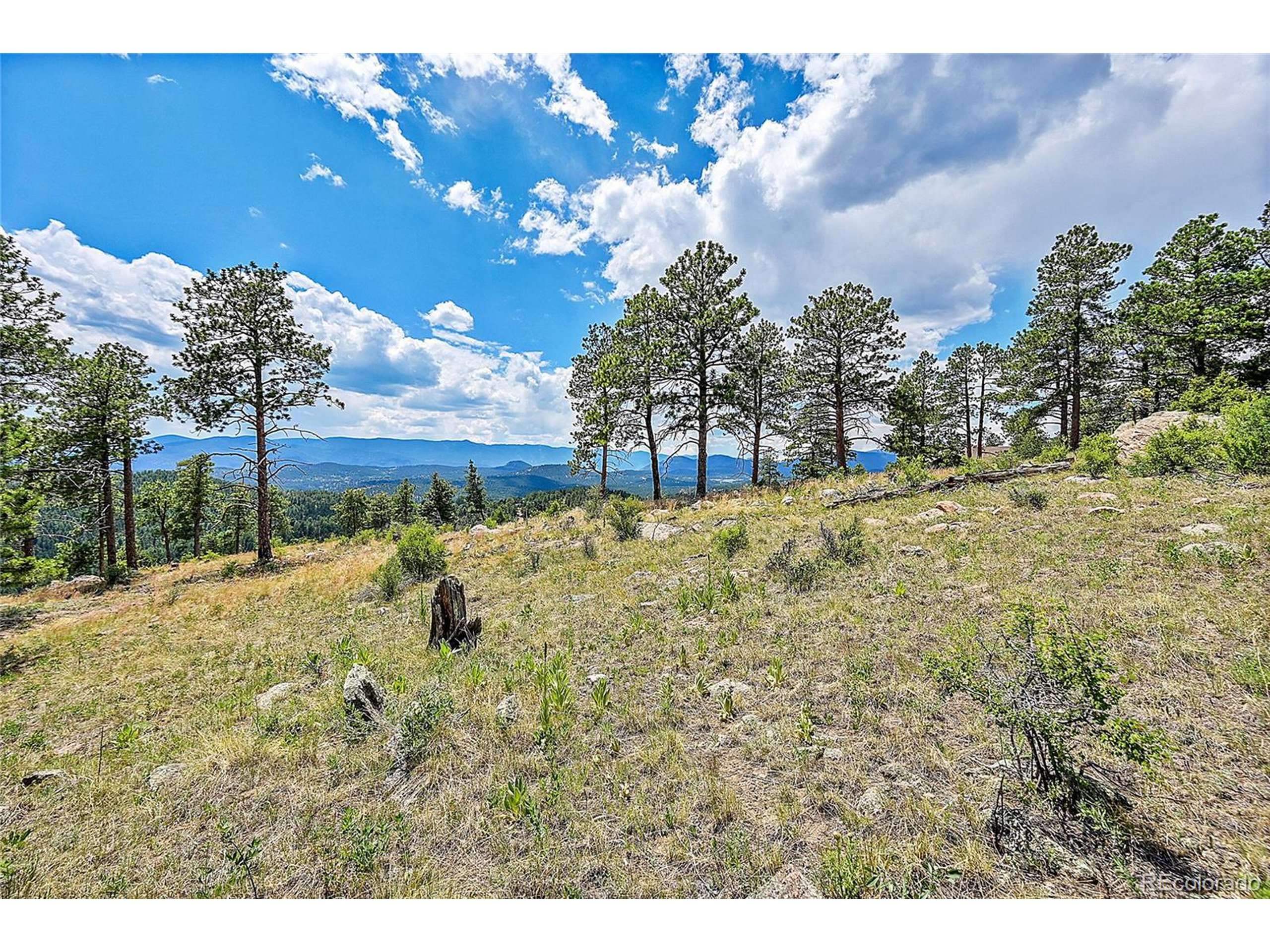 Pine, CO 80470,33550 Mount Wilson Trl