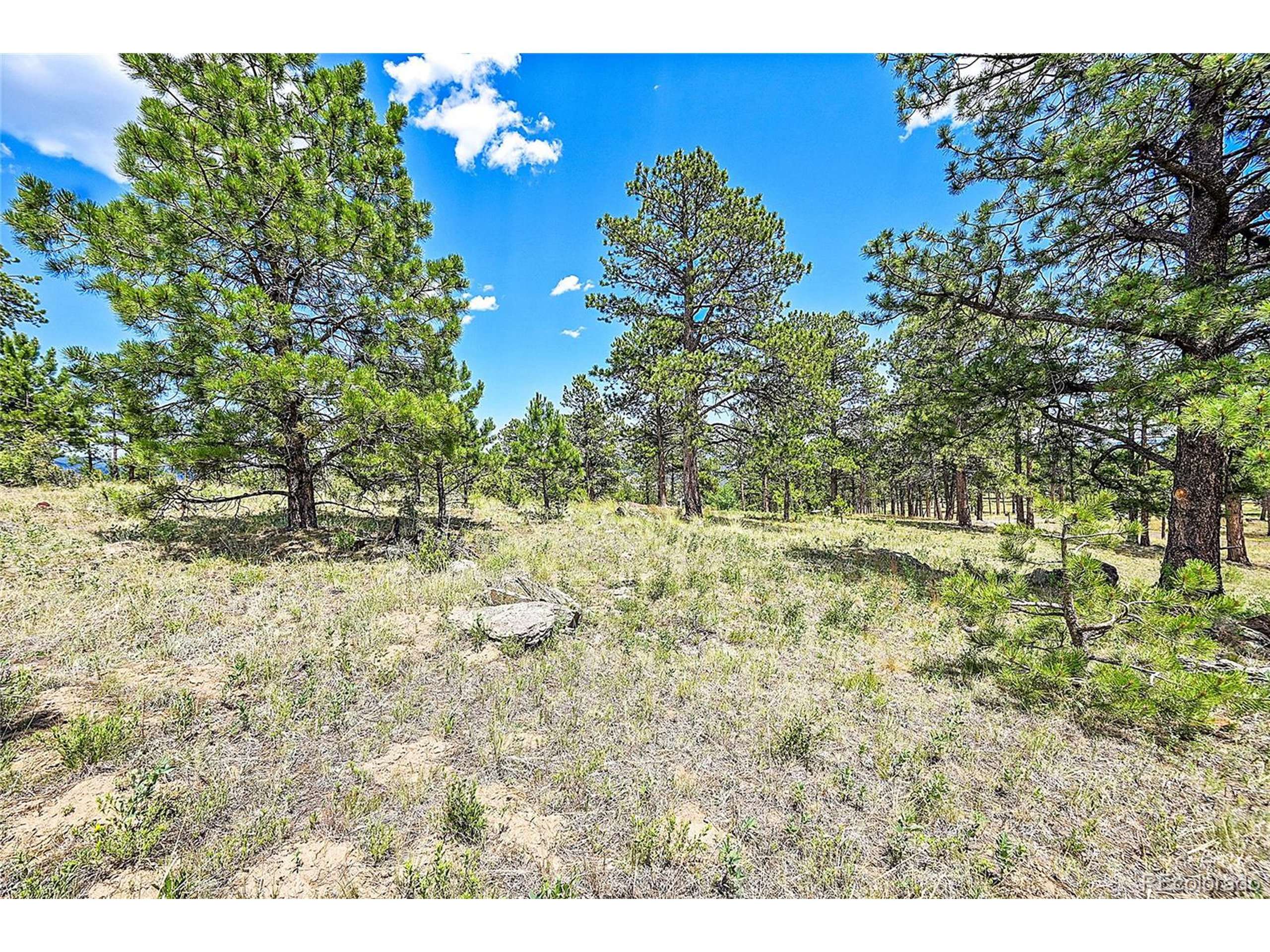 Pine, CO 80470,33550 Mount Wilson Trl